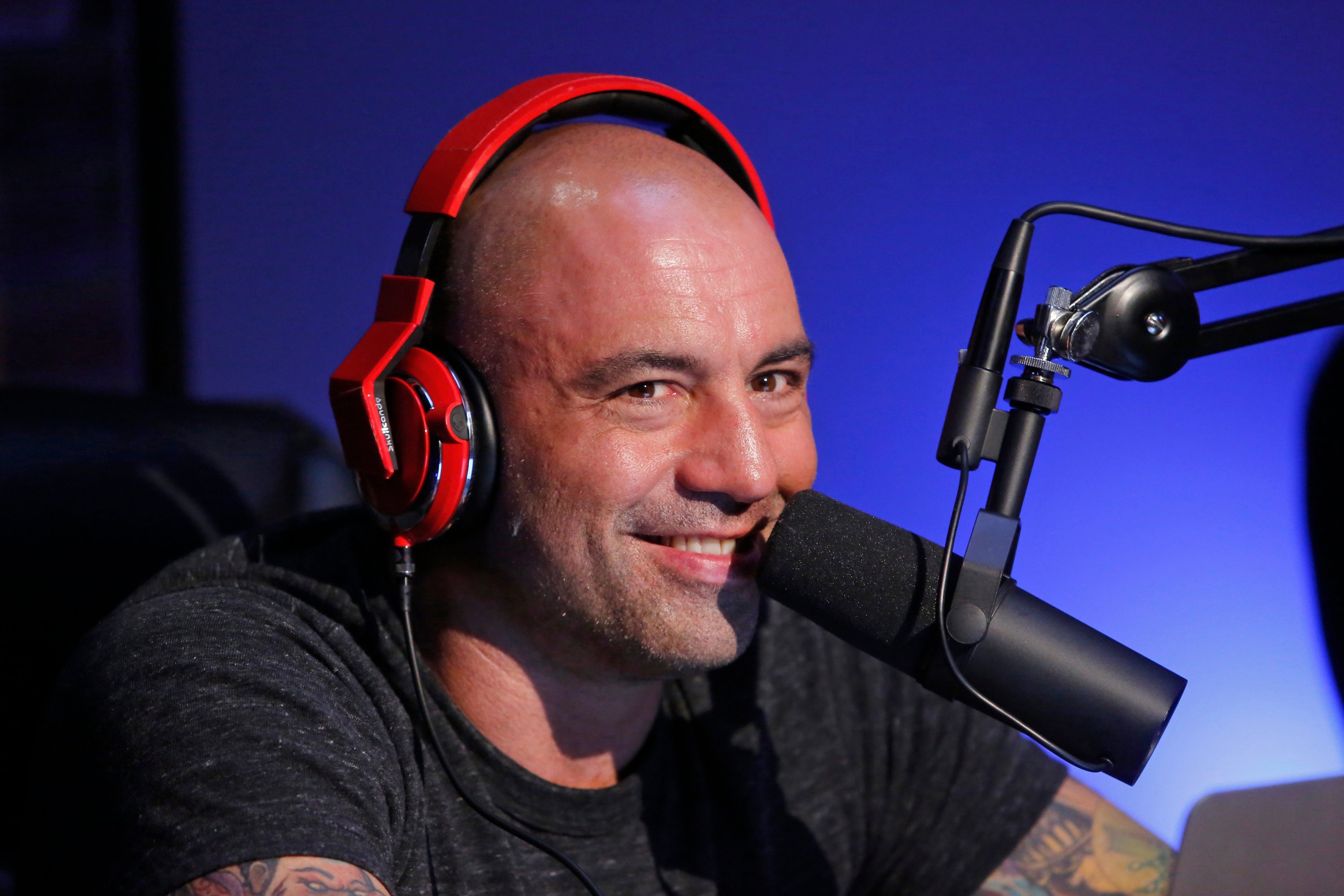 Joe Rogan is a comedian, podcaster and UFC commentator, and has even been an actor. Photo: Getty Images