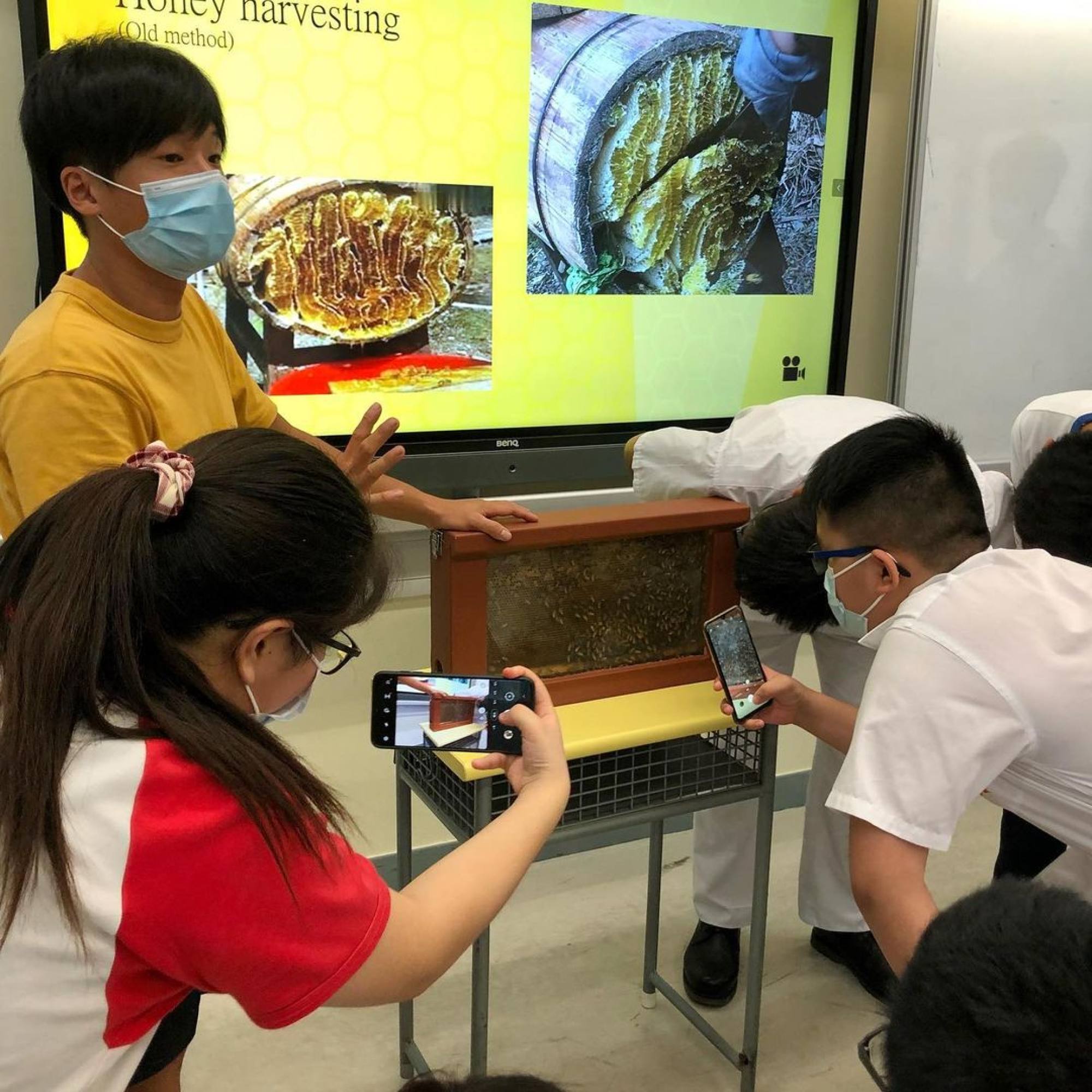 Why are these Hong Kong beekeepers so passionate about saving bees? It