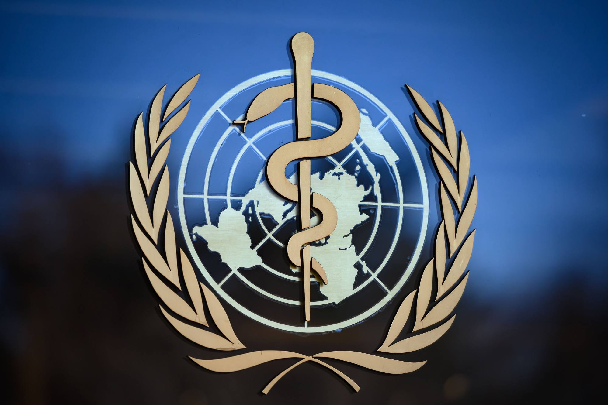The logo of the World Health Organization (WHO) at its headquarters in Geneva. Photo: AFP