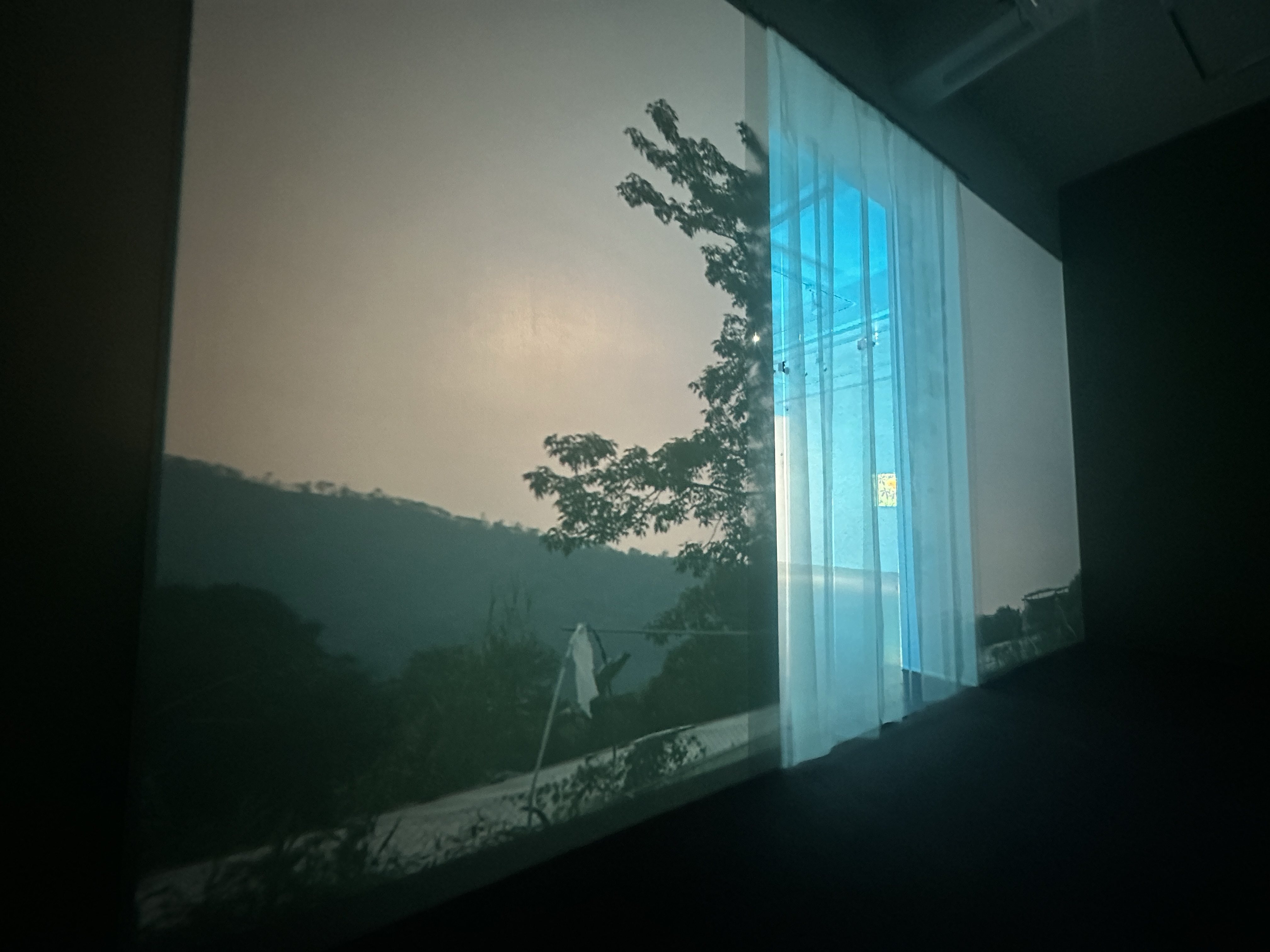 A piece of video art in the Shenzhen exhibition “As Shards of Dawn Shot Through the Dark”, by Natalie Lo Lai-lai. The show is one of two currently running in the Chinese city in which Hong Kong artists explore shared anxieties to show the power of art in connecting people. Photo: Natalie Lo