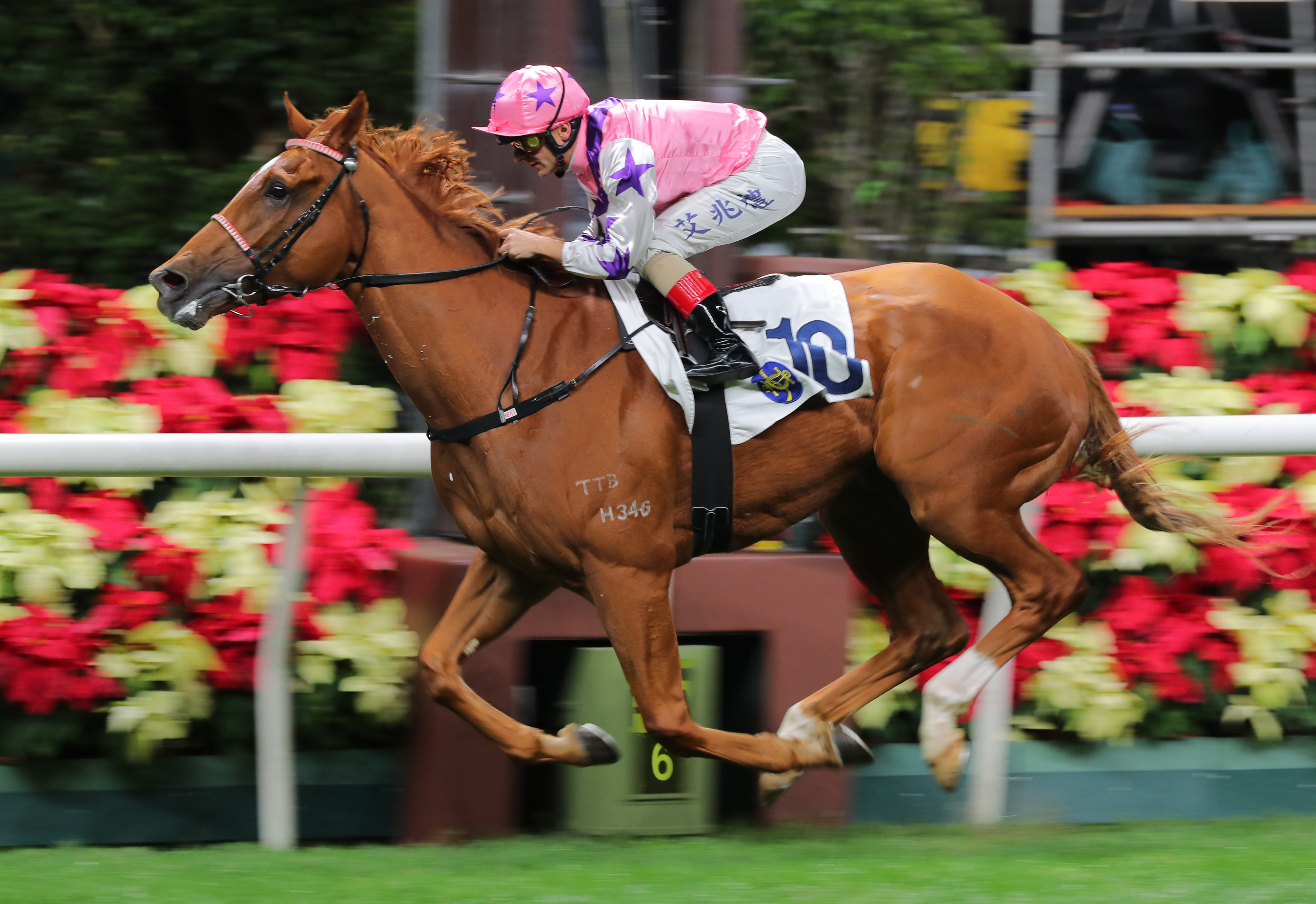 Simply Maverick bolts in at Happy Valley on December 6 under Andrea Atzeni. Photo: Kenneth Chan