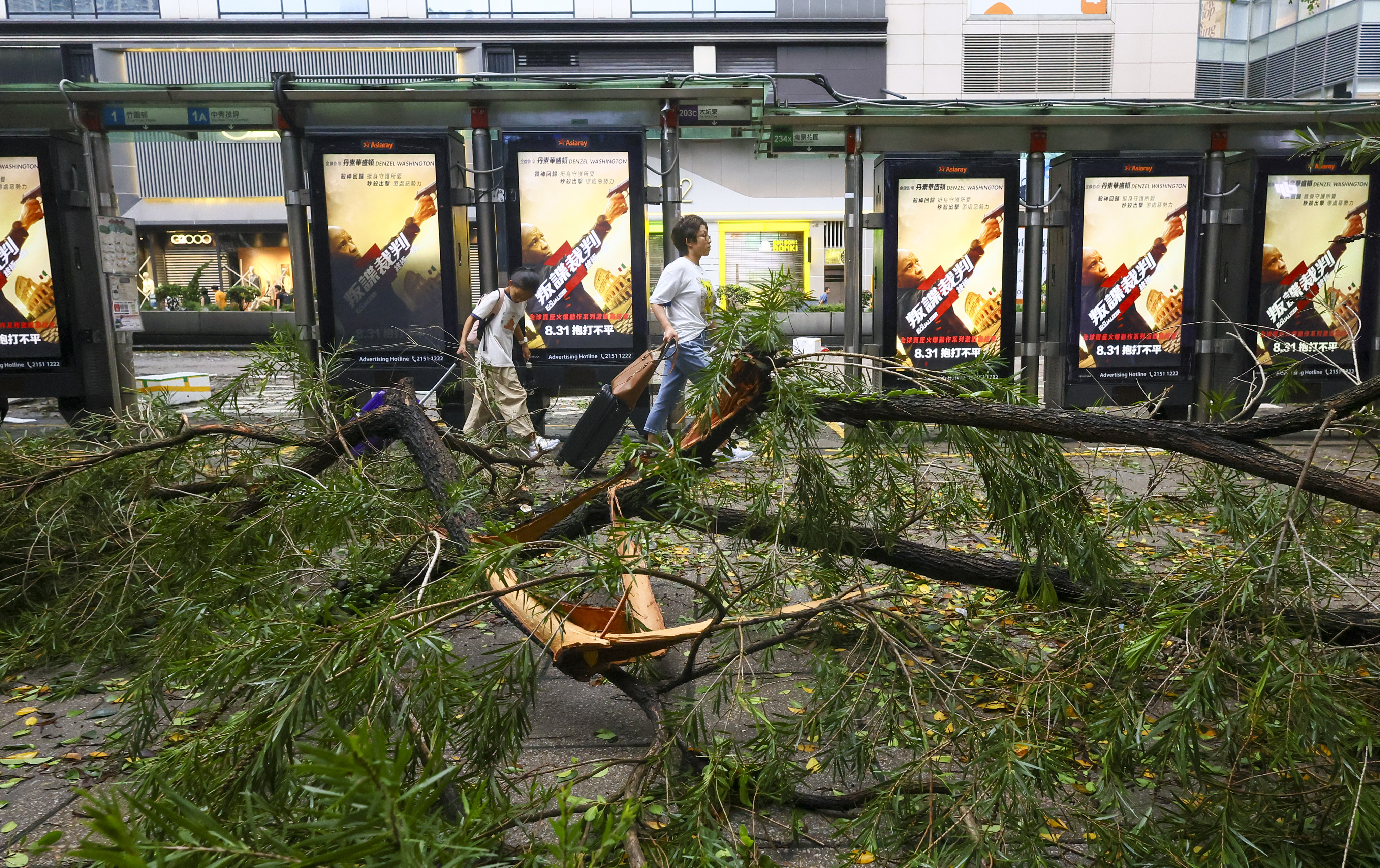 Fallen branches in Tsim Sha Tsui after super typhoon Saola swept through the city, on September 2. Photo: Dickson Lee