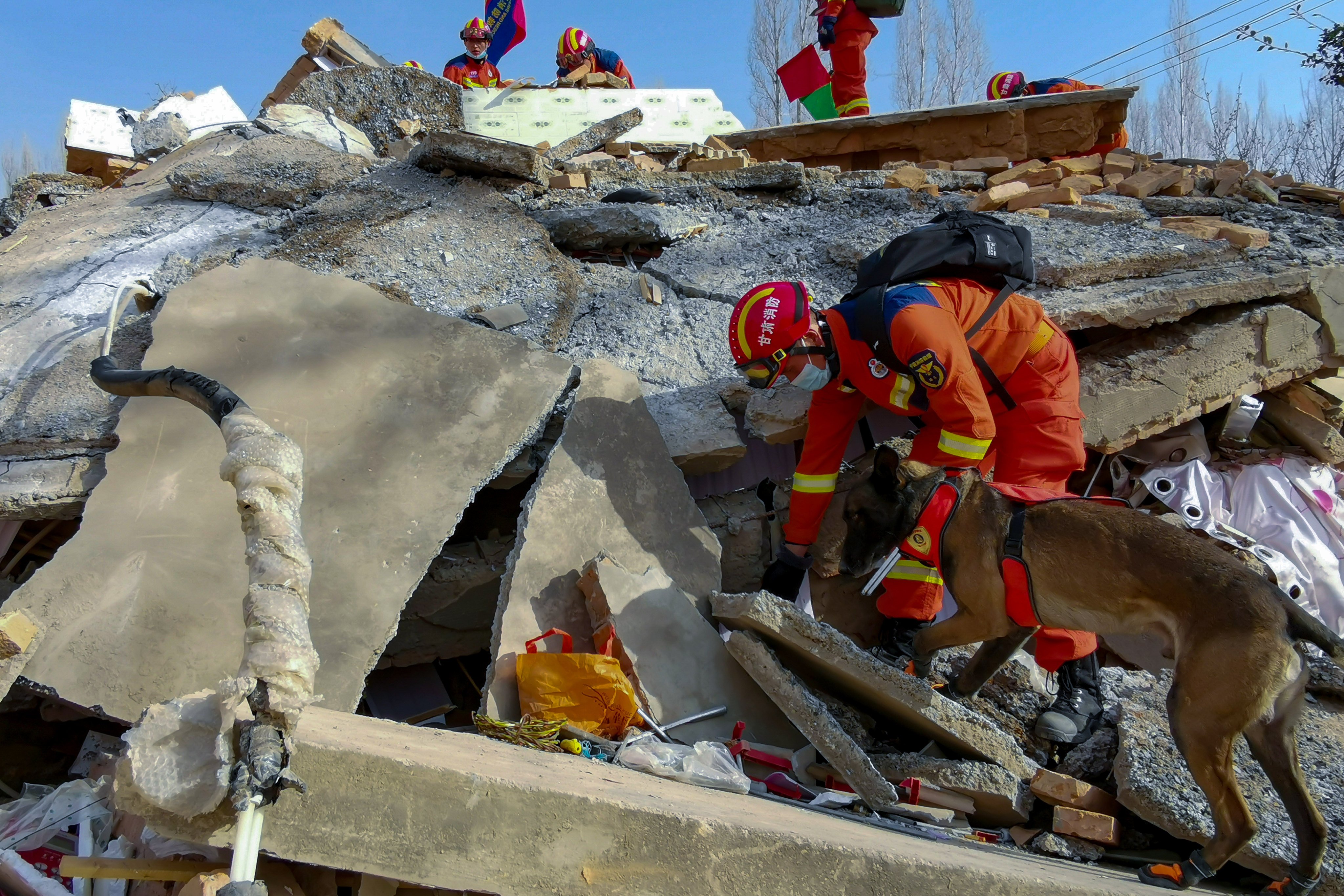 A rescuer uses a sniffer dog to search for survivors at a collapsed houses following a massive earthquake in Jishishan in Gansu province. Photo: AP