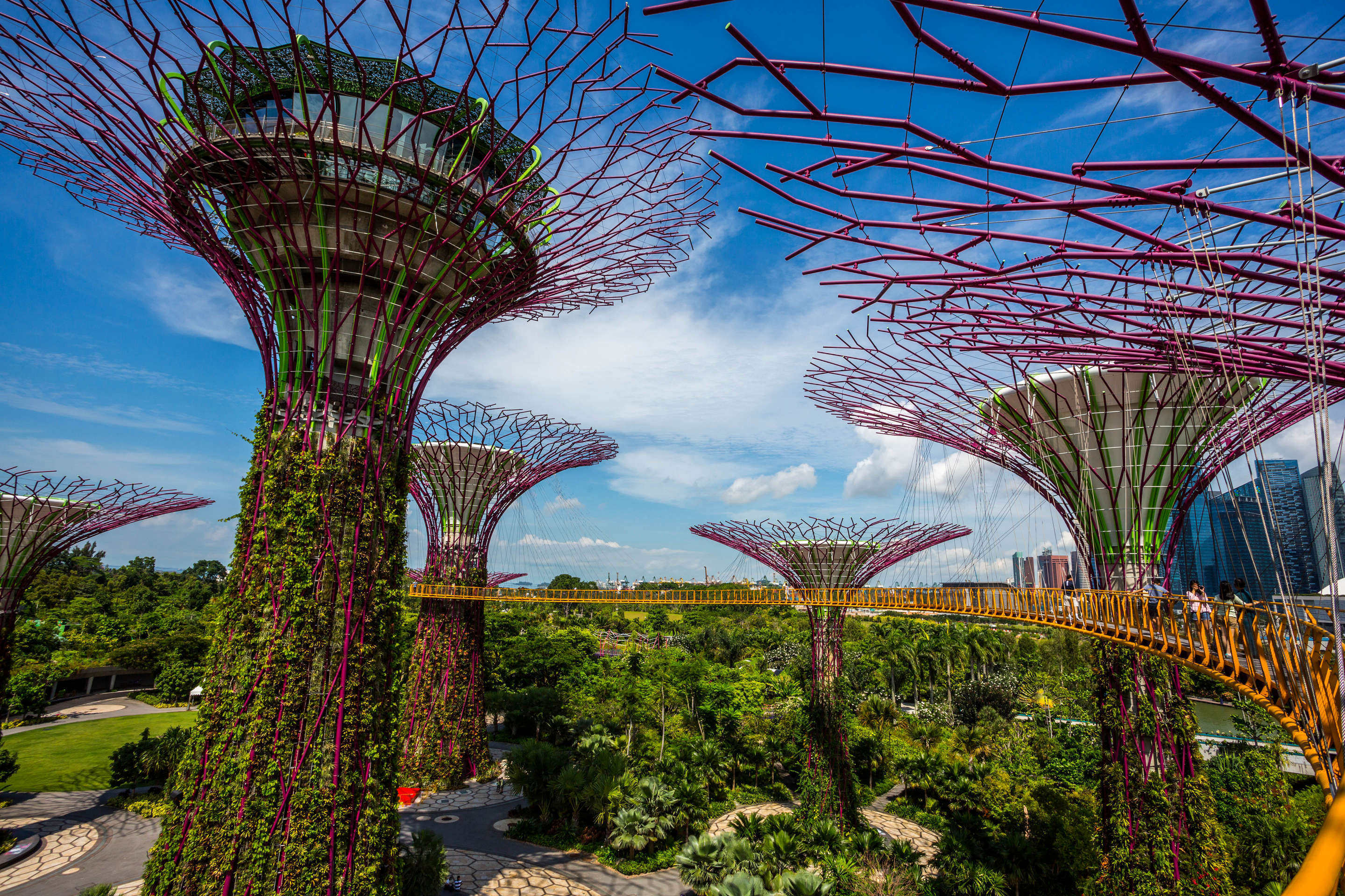 Gardens By the Bay’s Supertree grove in Singapore. The man and girl also talked about meeting up at Gardens by the Bay to “have fun” and discussed if they should record themselves having sex. Photo: Shutterstock