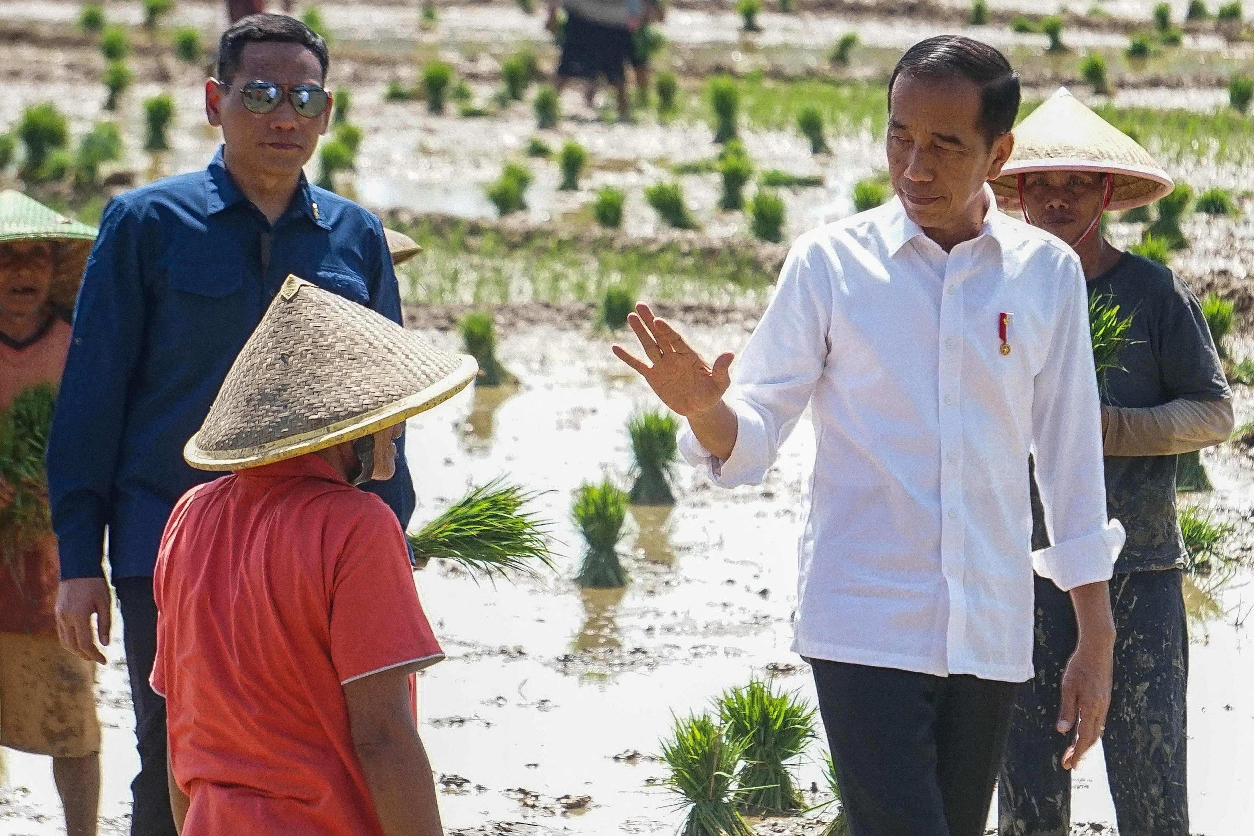 Indonesian President Joko Widodo greets a farmer at the paddy field area in Pekalongan, Central Java province, on December 13. He is pushing Indonesia to join the OECD in less than four years. Photo: Antara via Reuters