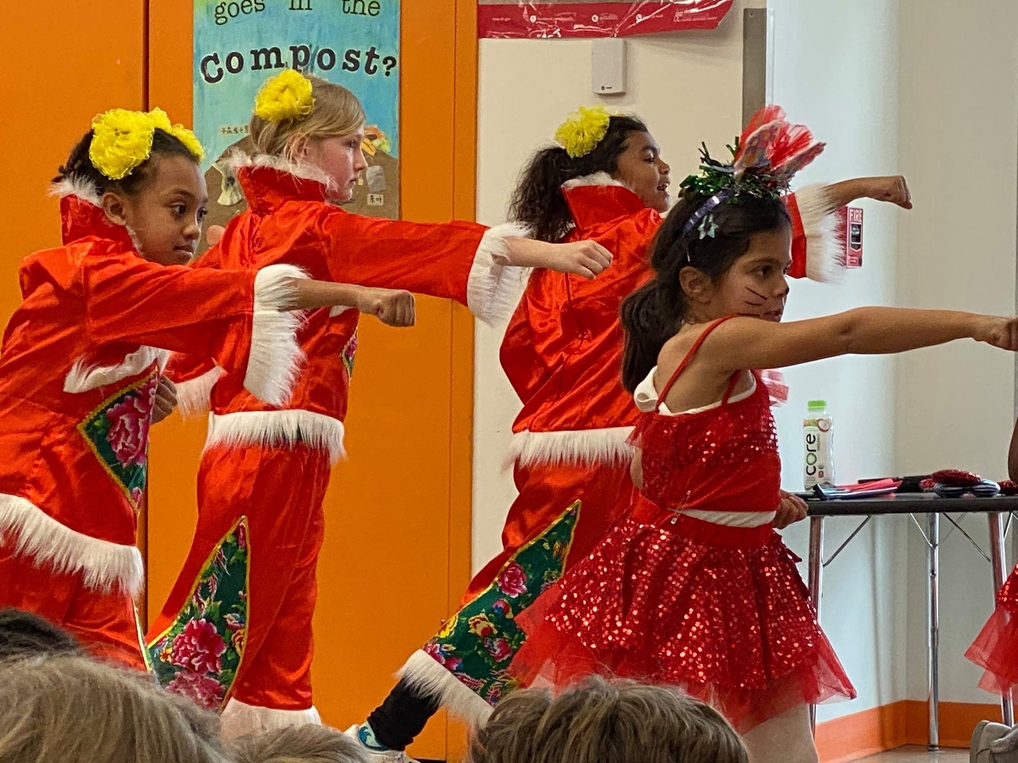 Yu Ying Public Charter School students in Washington DC perform a Chinese song and dance. Between public and private schools, Mandarin immersion programmes can be found in 32 US states. Photo: Yu Ying Public Charter School