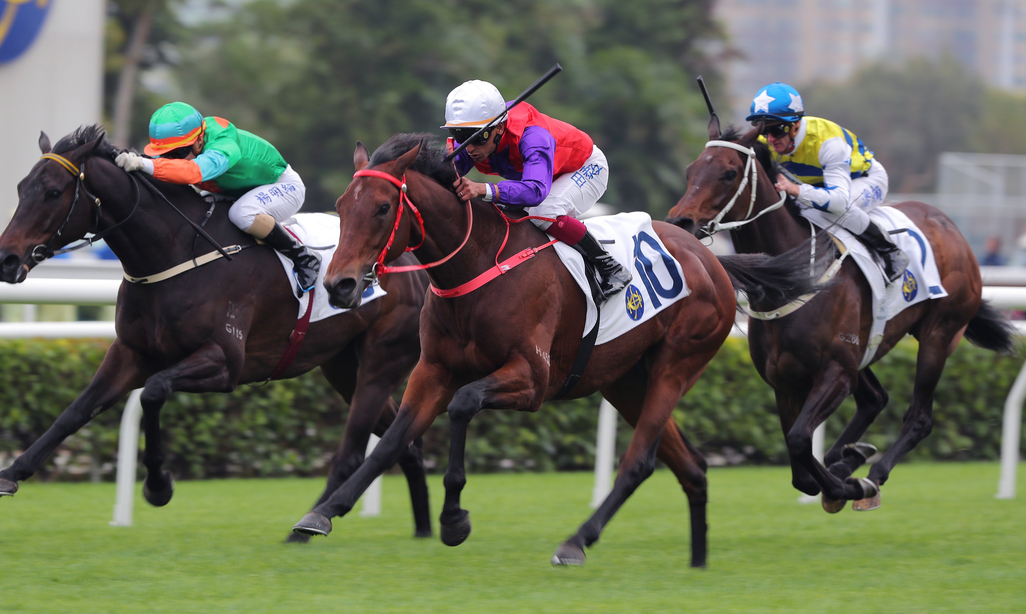 Ensured wins the Class Two Yan Chai Trophy (2,000m) at Sha Tin on Saturday. Photo: Kenneth Chan