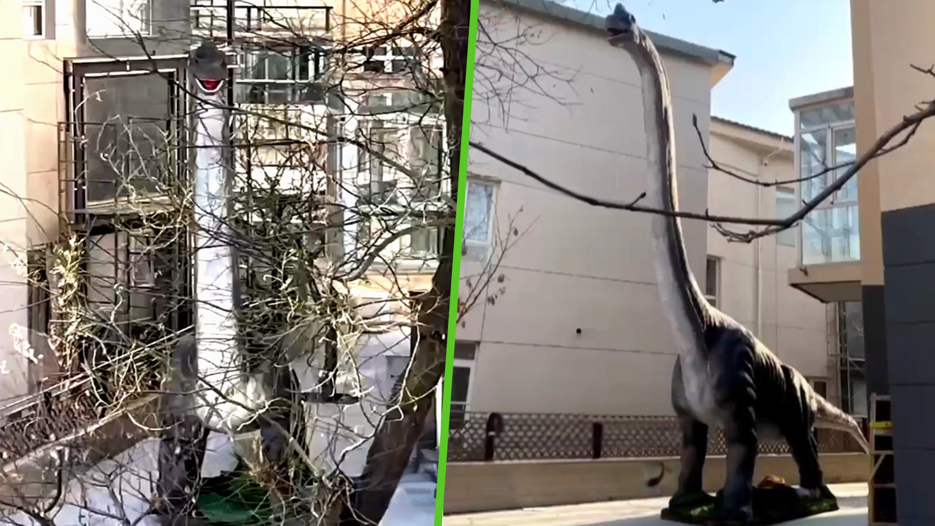 The man complained about his neighbour’s 15-meter-high dinosaur model, stating that it was “scary” and causing mental torture. 
Photo: SCMP composite/Weibo