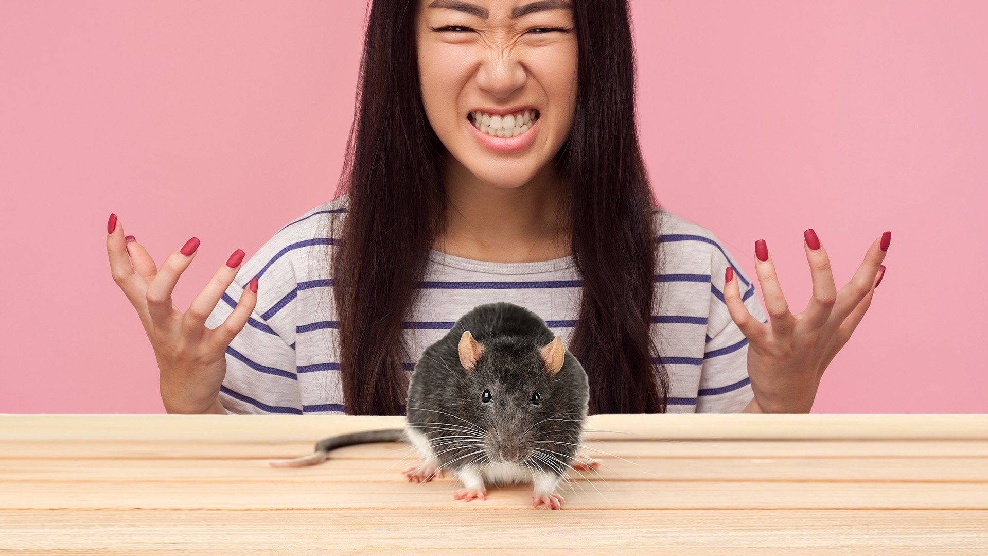 A university student in China has shocked mainland social media by taking revenge on a mouse she caught in her dormitory, which bit her finger, by sinking her teeth into the head of the pesky rodent. Photo: SCMP composite/Shutterstock