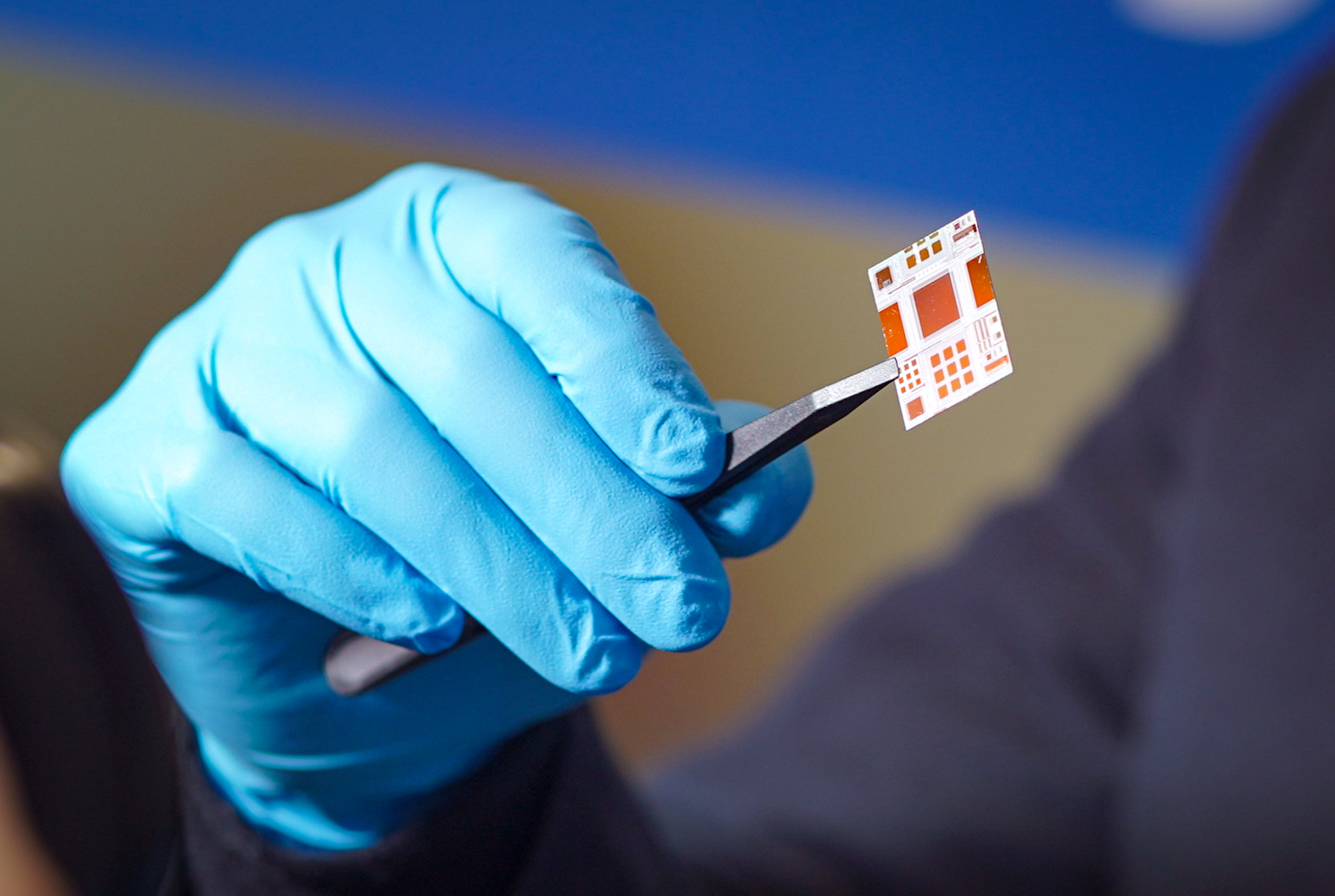 Future memristor chips may be able to offload AI tasks from data centres to smartphones and watches with great energy efficiency, be used in subdermal health-monitoring implants and help to speed up virus genome sequencing. Photo: HKU