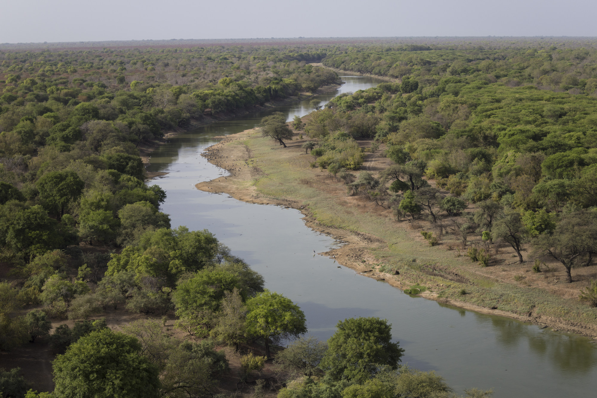 How Chad’s Zakouma National Park became a safe haven for threatened ...