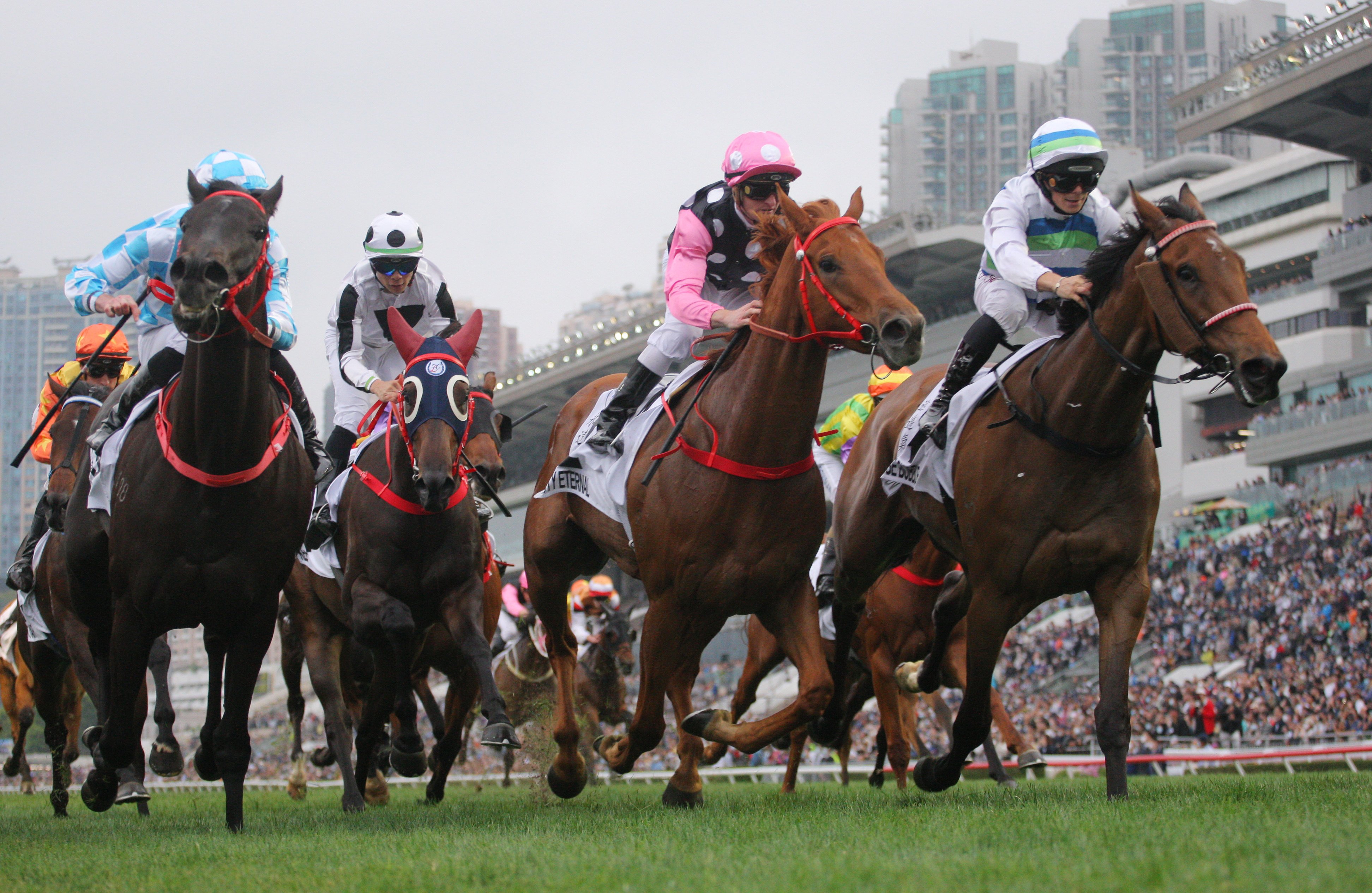 Voyage Bubble (right) wins last season’s Hong Kong Derby (2,000m) at Sha Tin on March 19. Photo: Kenneth Chan