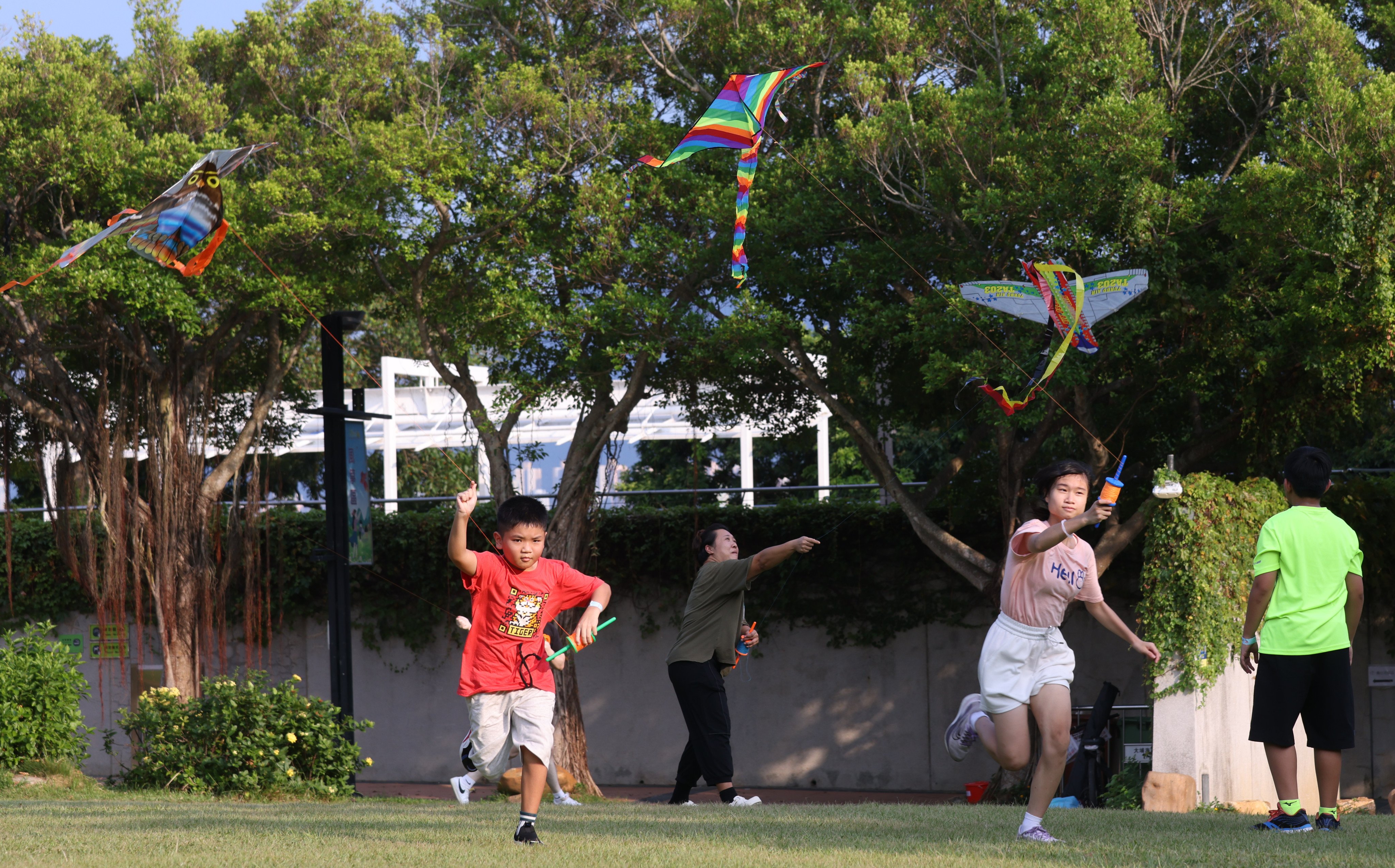 People fly kites at Tai Po Waterfront Park on September 30. Tai Po was one of nine new towns developed in the 1970s. Photo: Yik Yeung-man