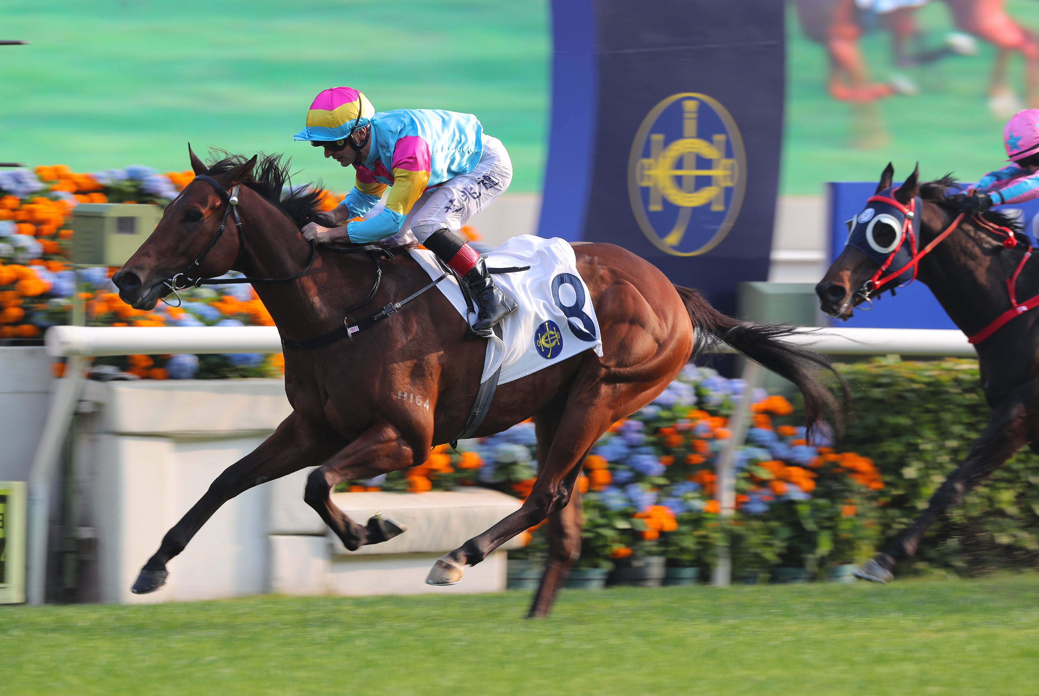 Taj Dragon takes out the Group Three Chinese Club Challenge Cup (1,400m) under Andrea Atzeni at Sha Tin on Monday. Photos: Kenneth Chan