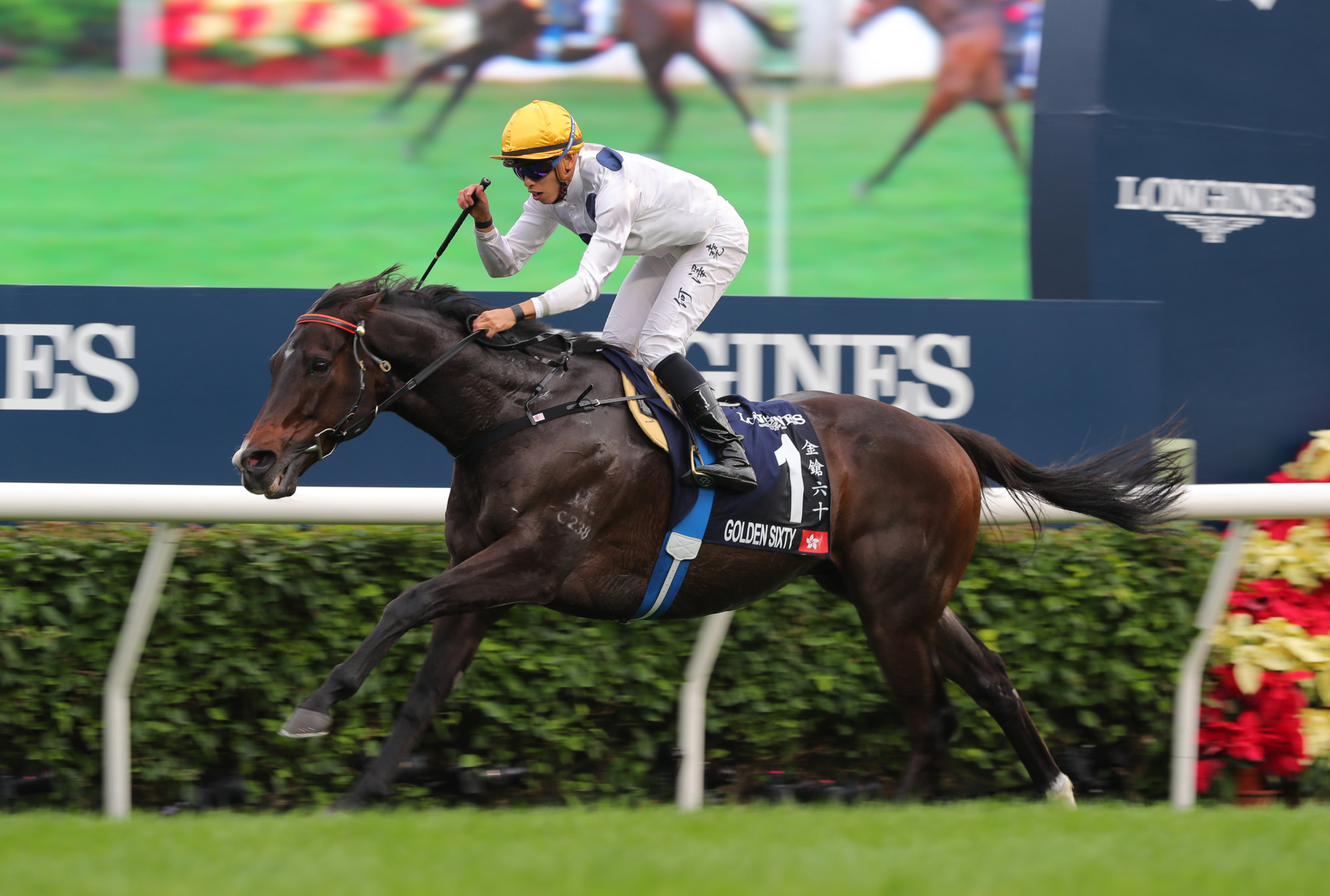 Golden Sixty wins last month’s Group One Hong Kong Mile.