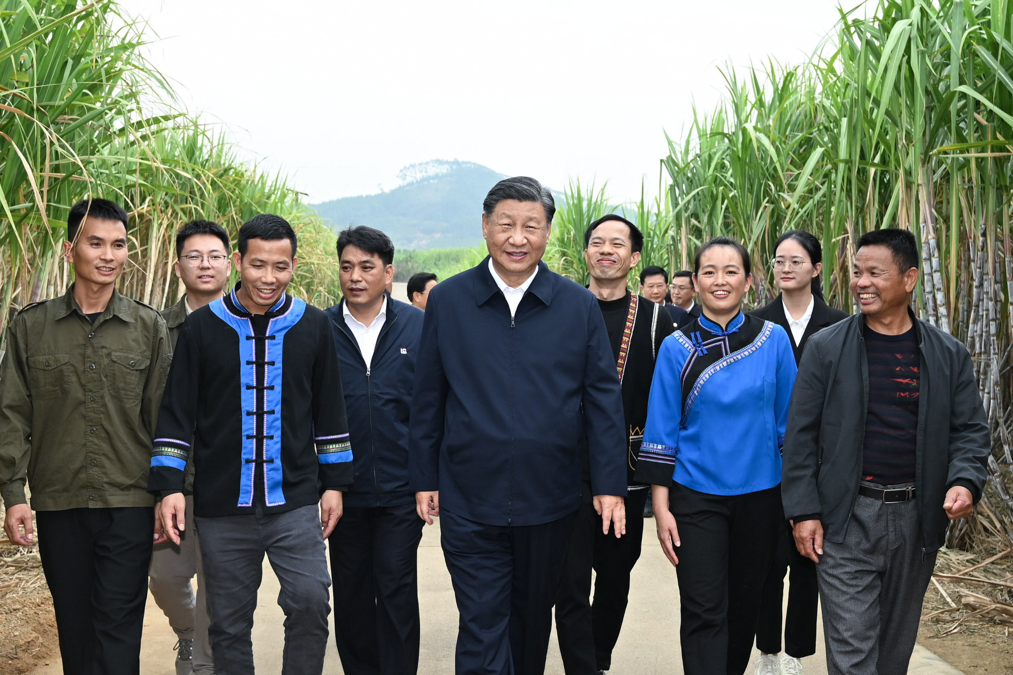 Chinese President Xi Jinping (centre) inspects a sugarcane plantation in south China’s Guangxi Zhuang autonomous region on December 14. Photo: Xinhua