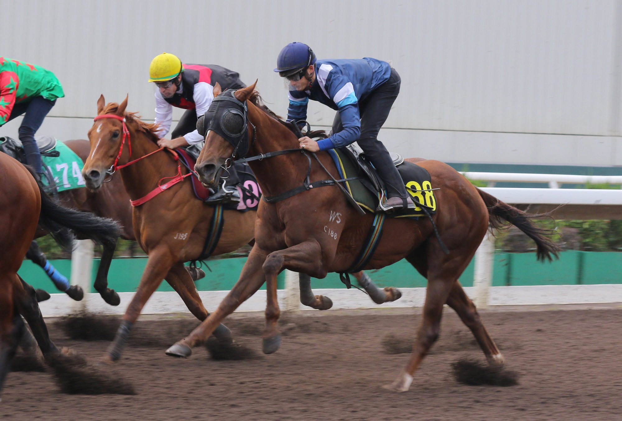 Harry Bentley trials Duke Wai on the Sha Tin dirt last week.