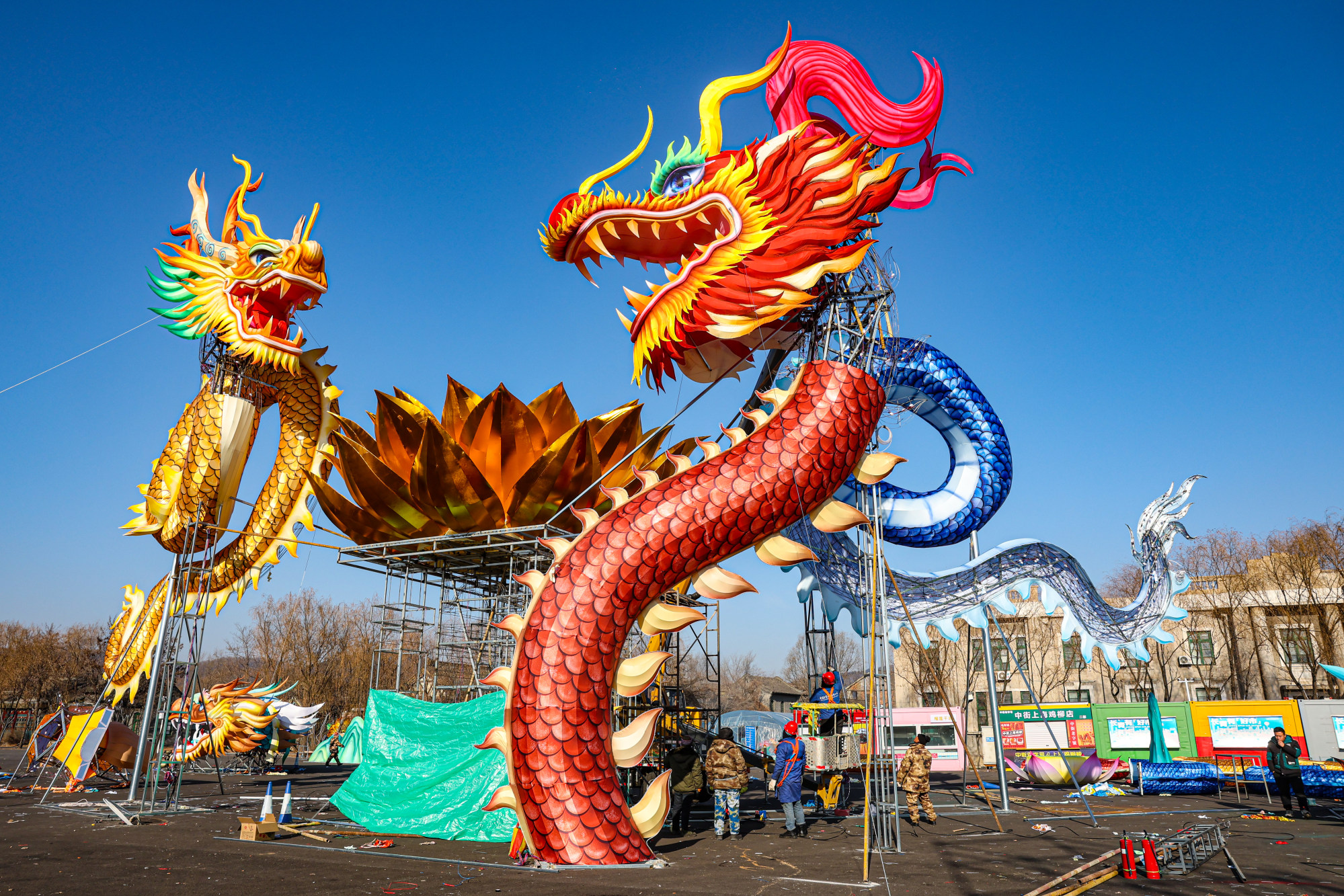 Chinese New Year Dragon Types Infoupdate