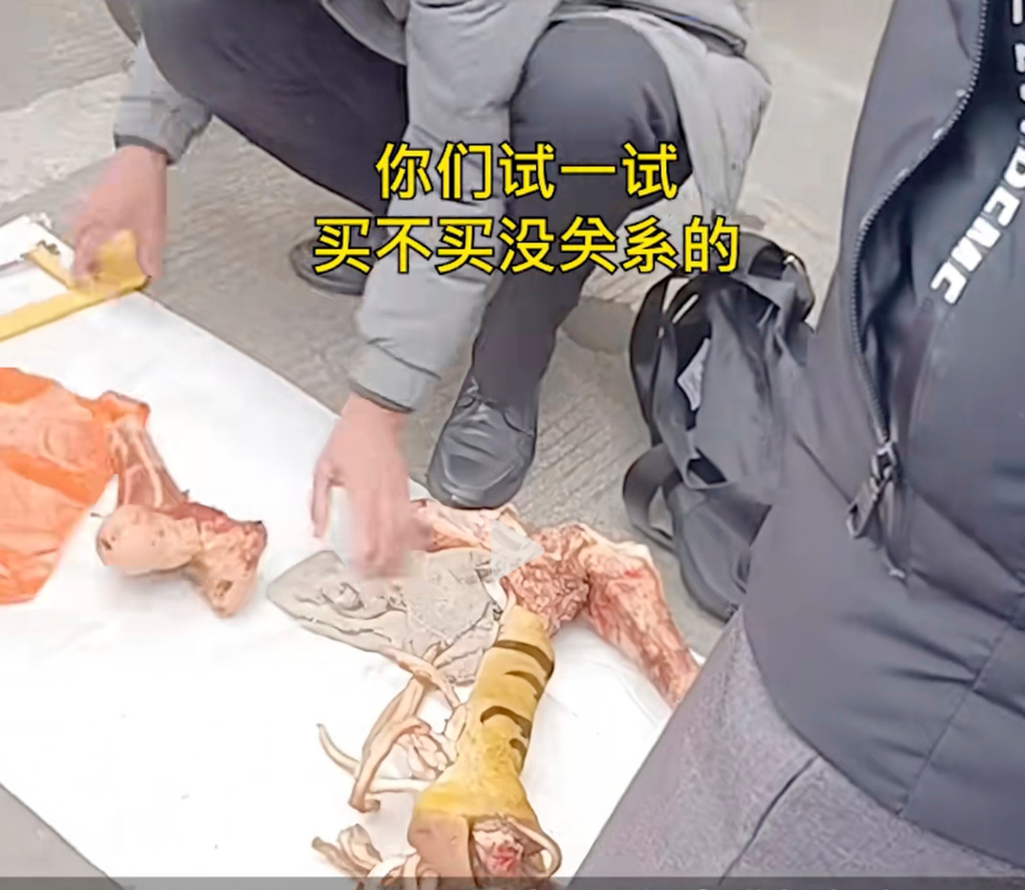 The vendors were caught trying to sell the fake tiger bones at a market in southern China. Photo: Douyin
