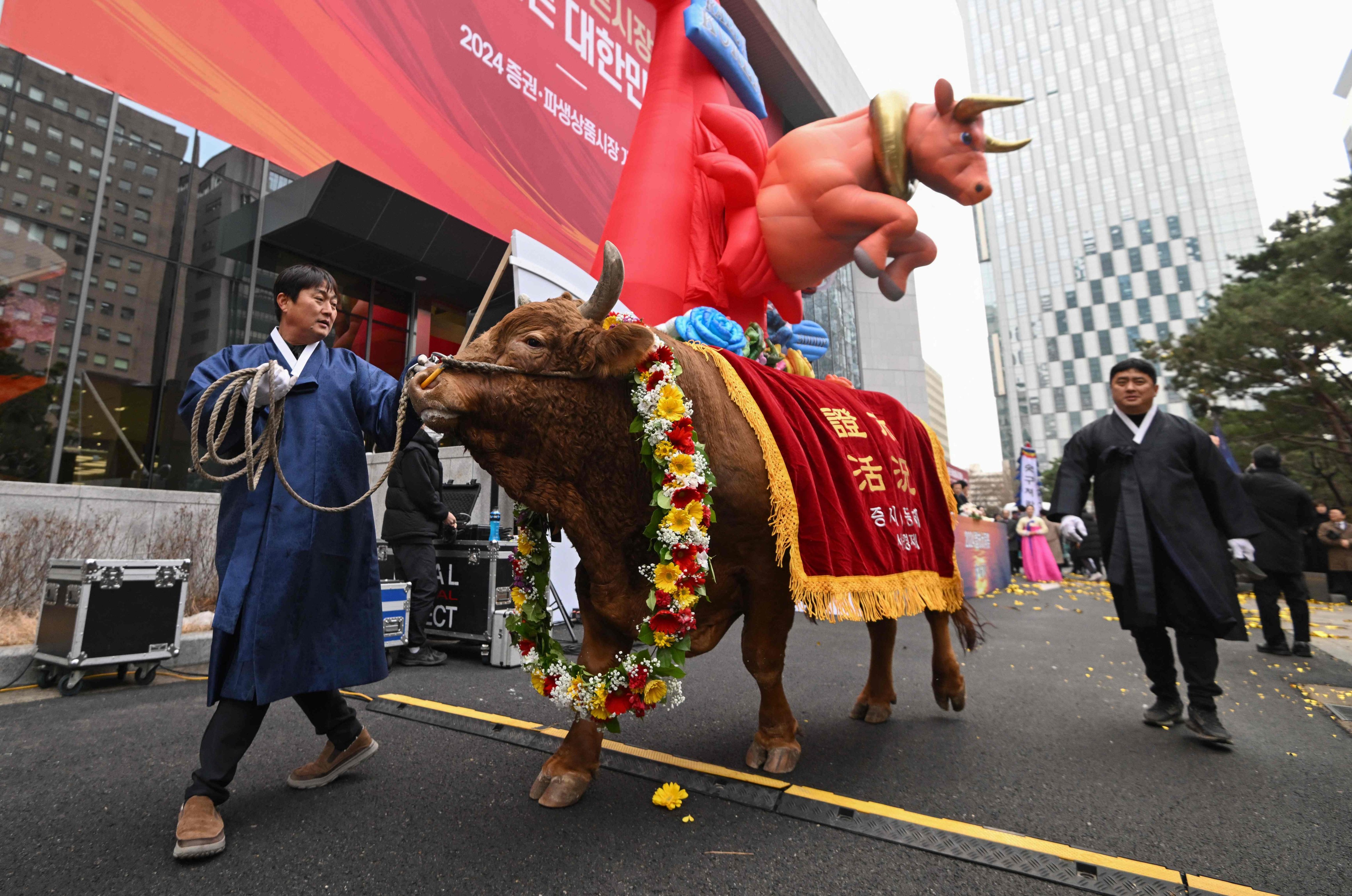 A man leads a bull during a ceremony celebrating the New Year’s opening of the South Korea stock market at the Korea Exchange in Seoul on January 2. Photo: AFP