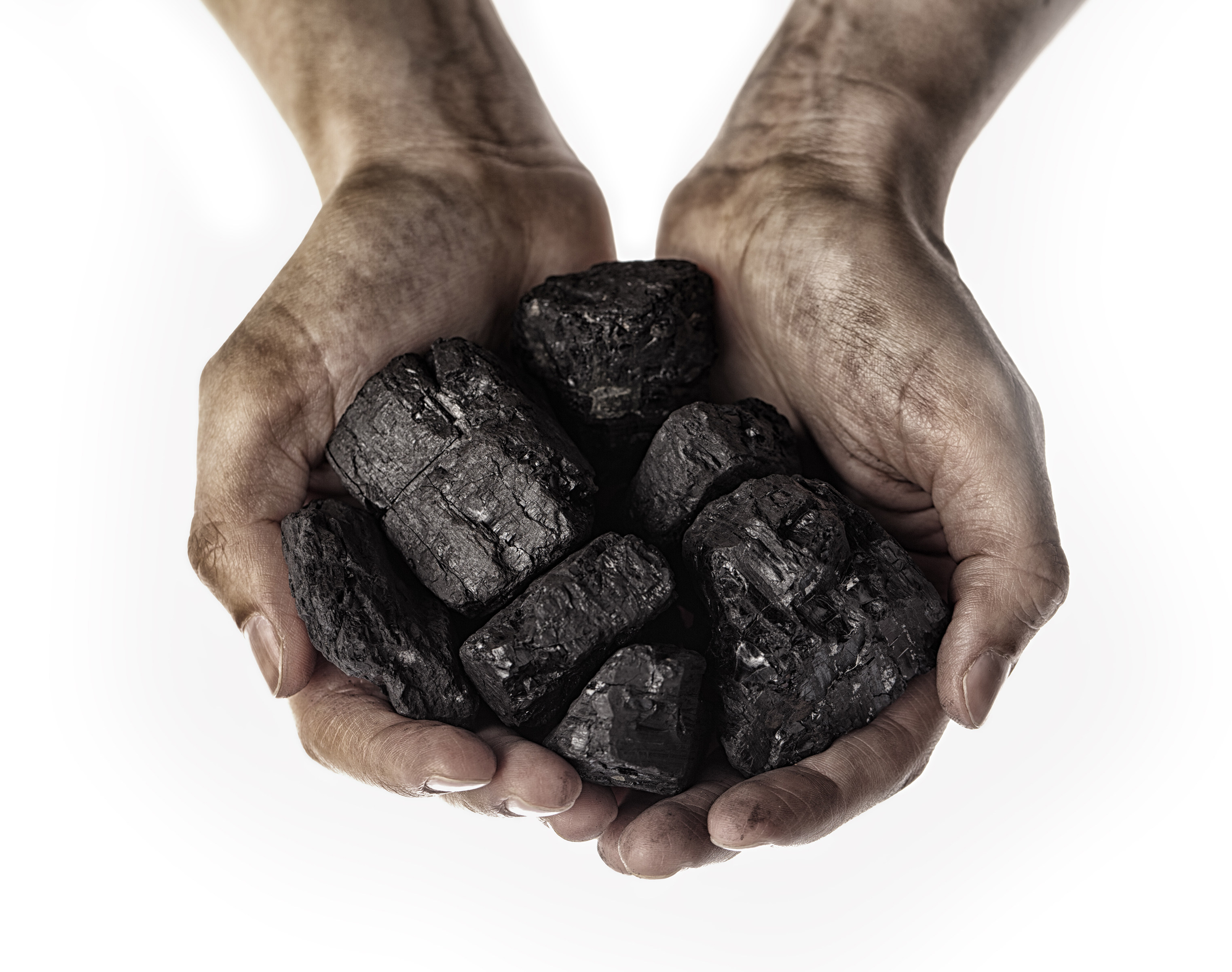 Chinese scientists have developed a low-cost method of converting coal into protein for use in animal feed. Photo: Shutterstock