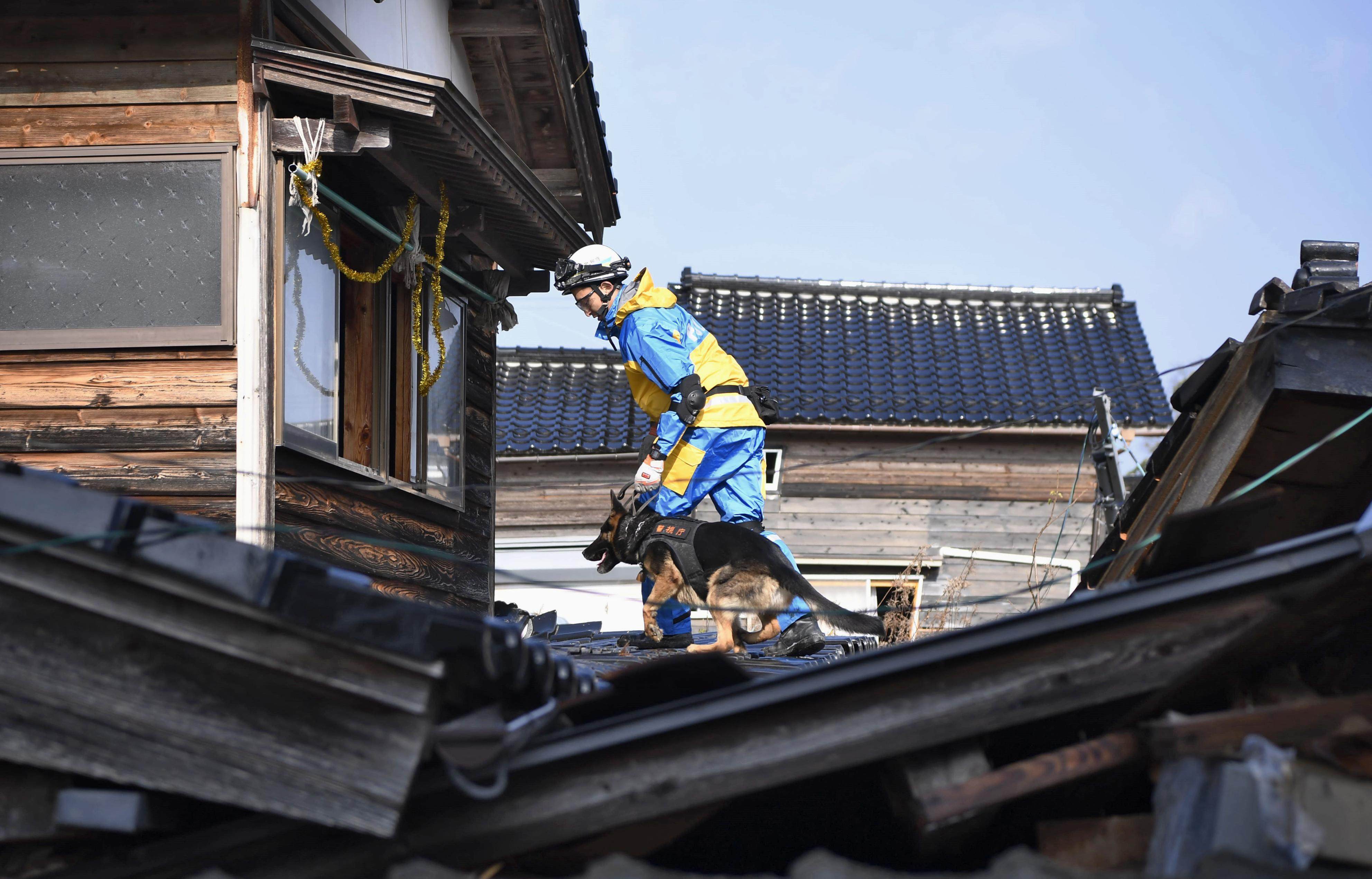 A police officer and a rescue dog search for people possibly trapped inside a collapsed house in Suzu in Ishikawa Prefecture on Saturday. Photo: Kyodo
