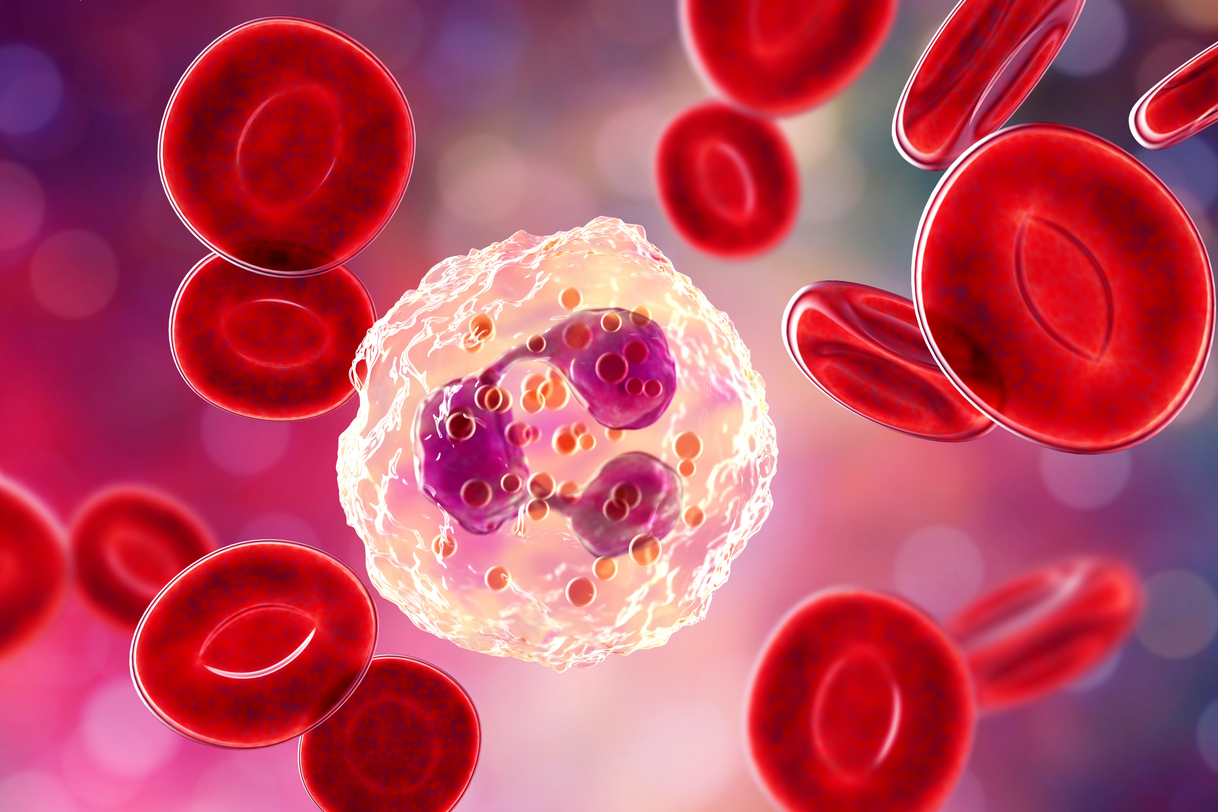 Discovered in 1927, the P blood group can 
be categorised into five subtypes, depending on the antigens on the surfaces of its red blood cells. Photo: Shutterstock 