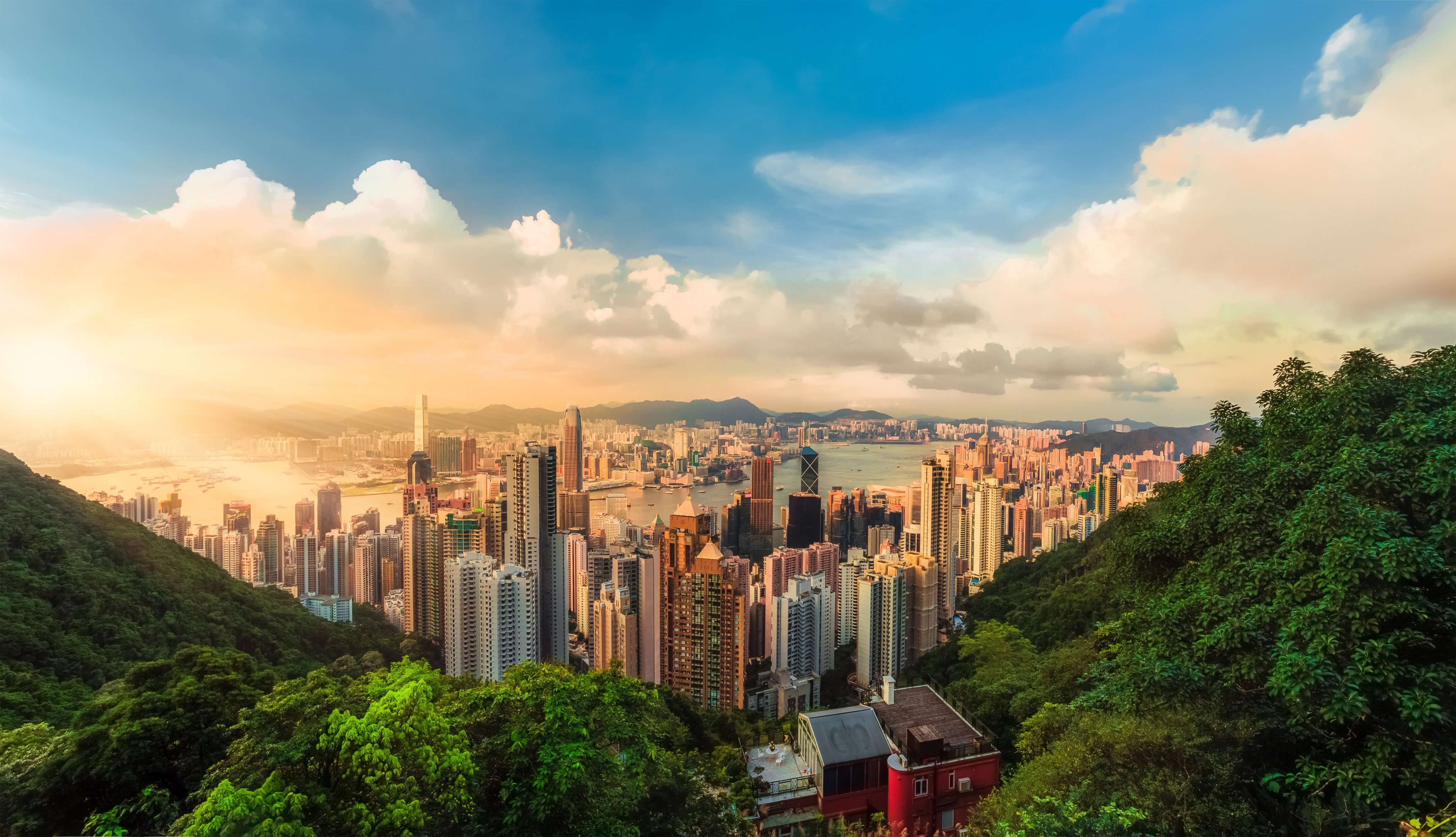Seven Hong Kong companies have joined more than 300 firms worldwide that are committed to making disclosures on nature-related risks and opportunities. Photo: Shutterstock