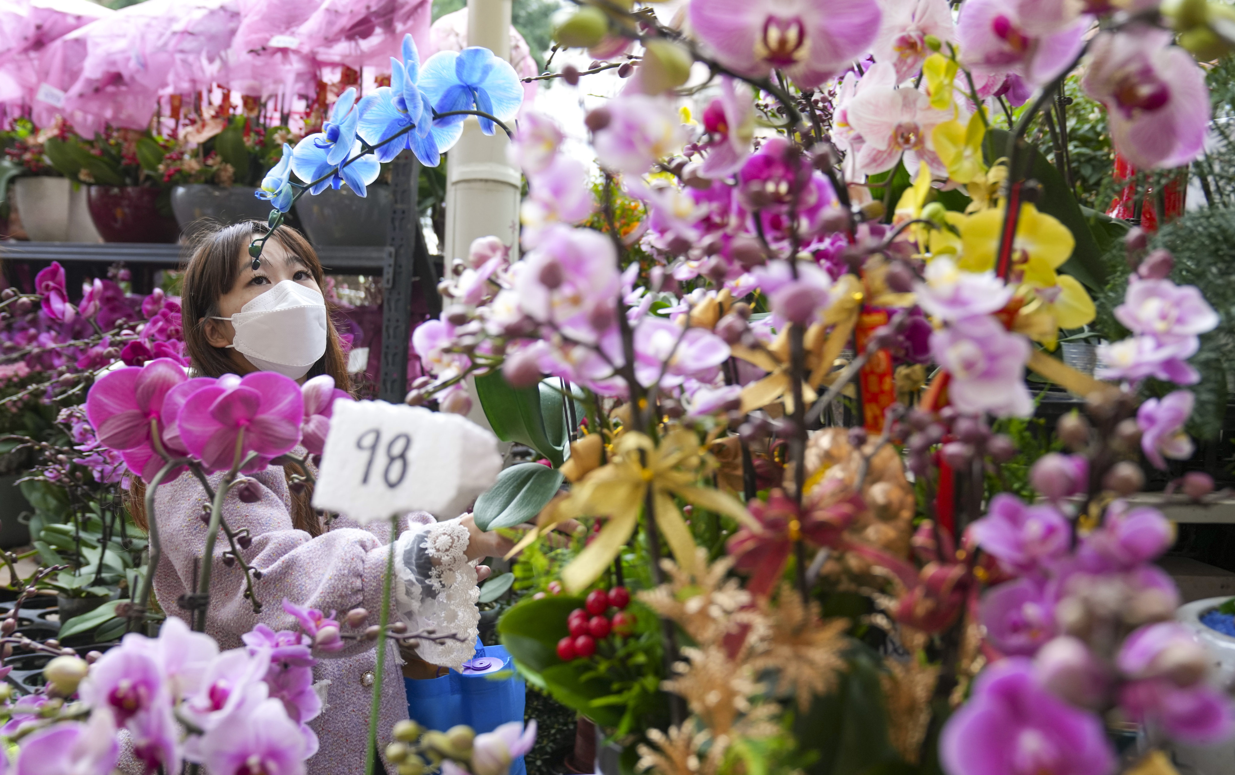 A view of the Flower Market in Prince Edward on January 9, 2023, before the fixed penalty for shopfront extension was raised. Photo: Sam Tsang

