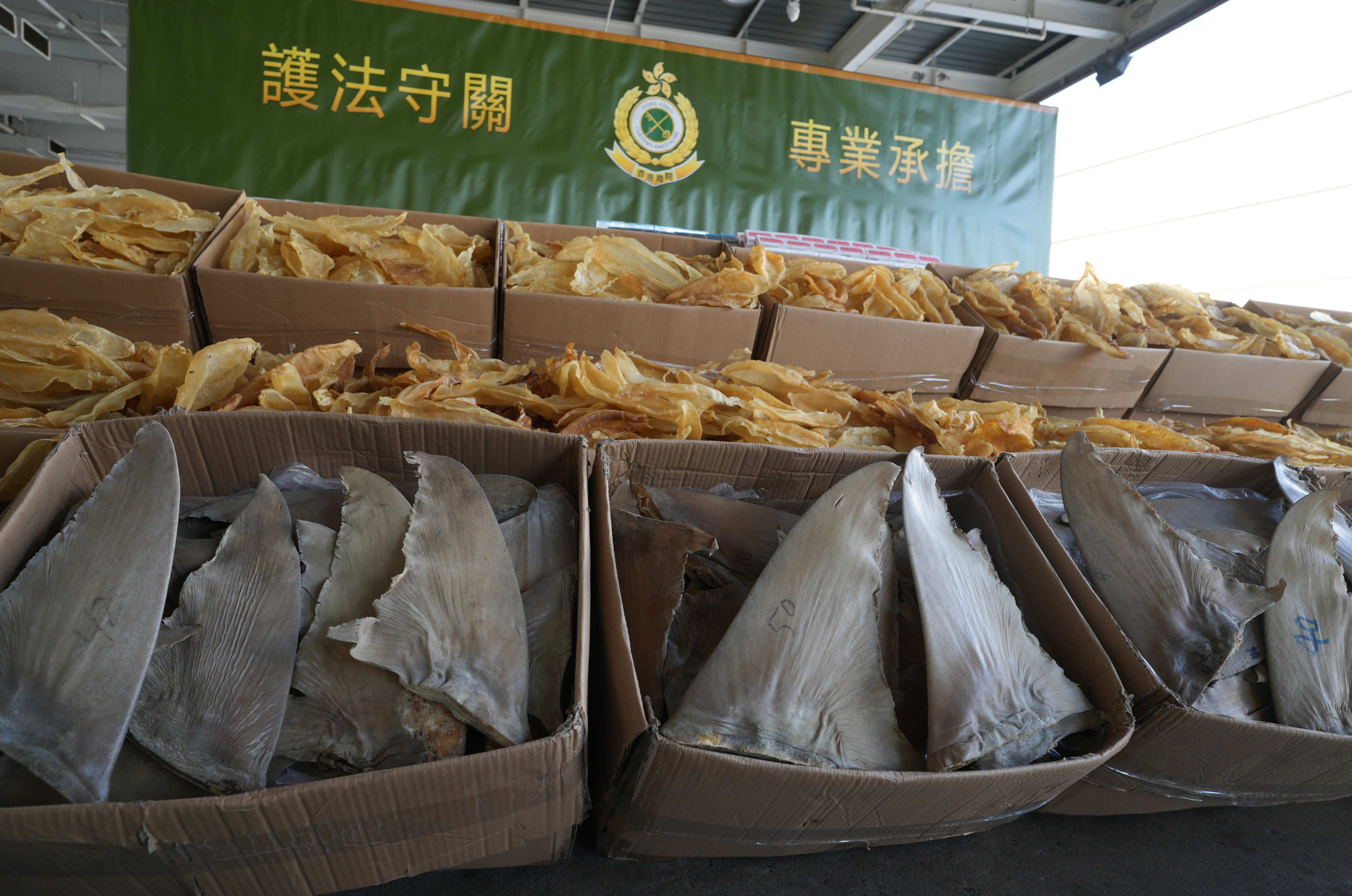 Hong Kong Customs holds a press conference on January 3 at the River Trade Terminal in Tuen Mun, on a smuggling case last year involving dried seafood and cosmetic products with an estimated market value of HK$6 million. Photo: Elson Li