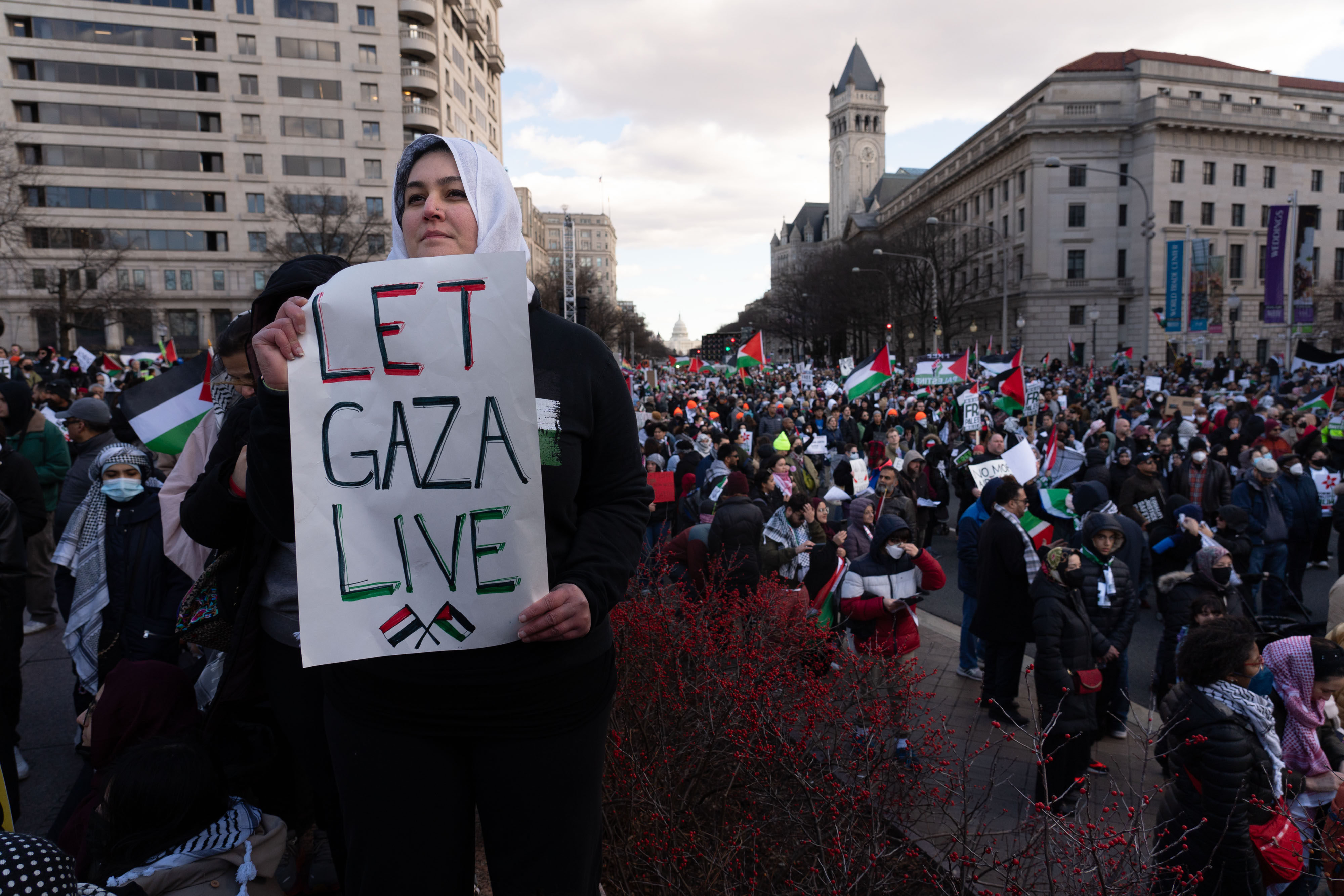 Protesters calling for an end to the war in Gaza march to the White House in Washington on January 13. Photo: dpa