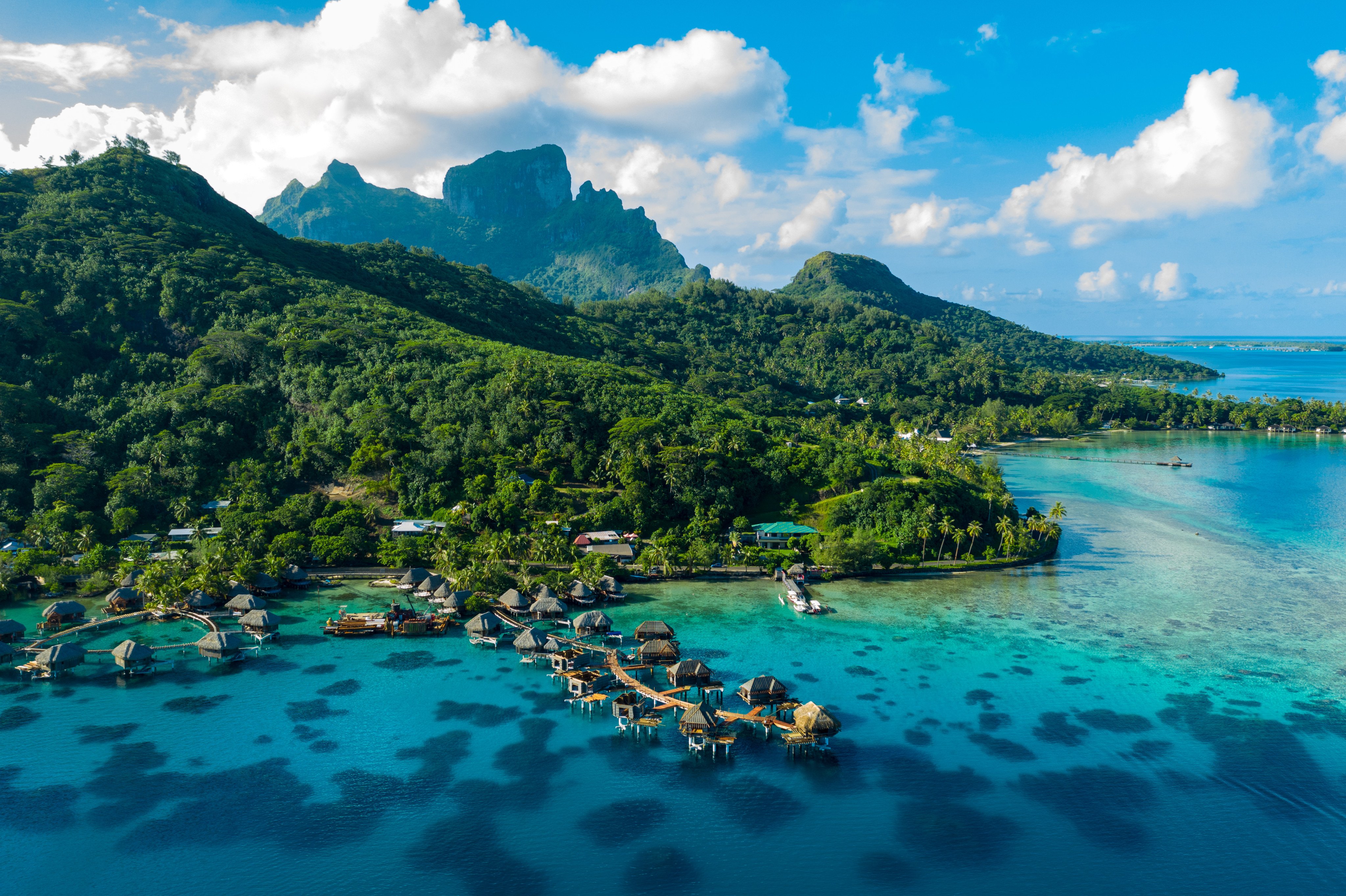 The 2024 Olympic surfing events will be held in Tahiti. Photo: Shutterstock