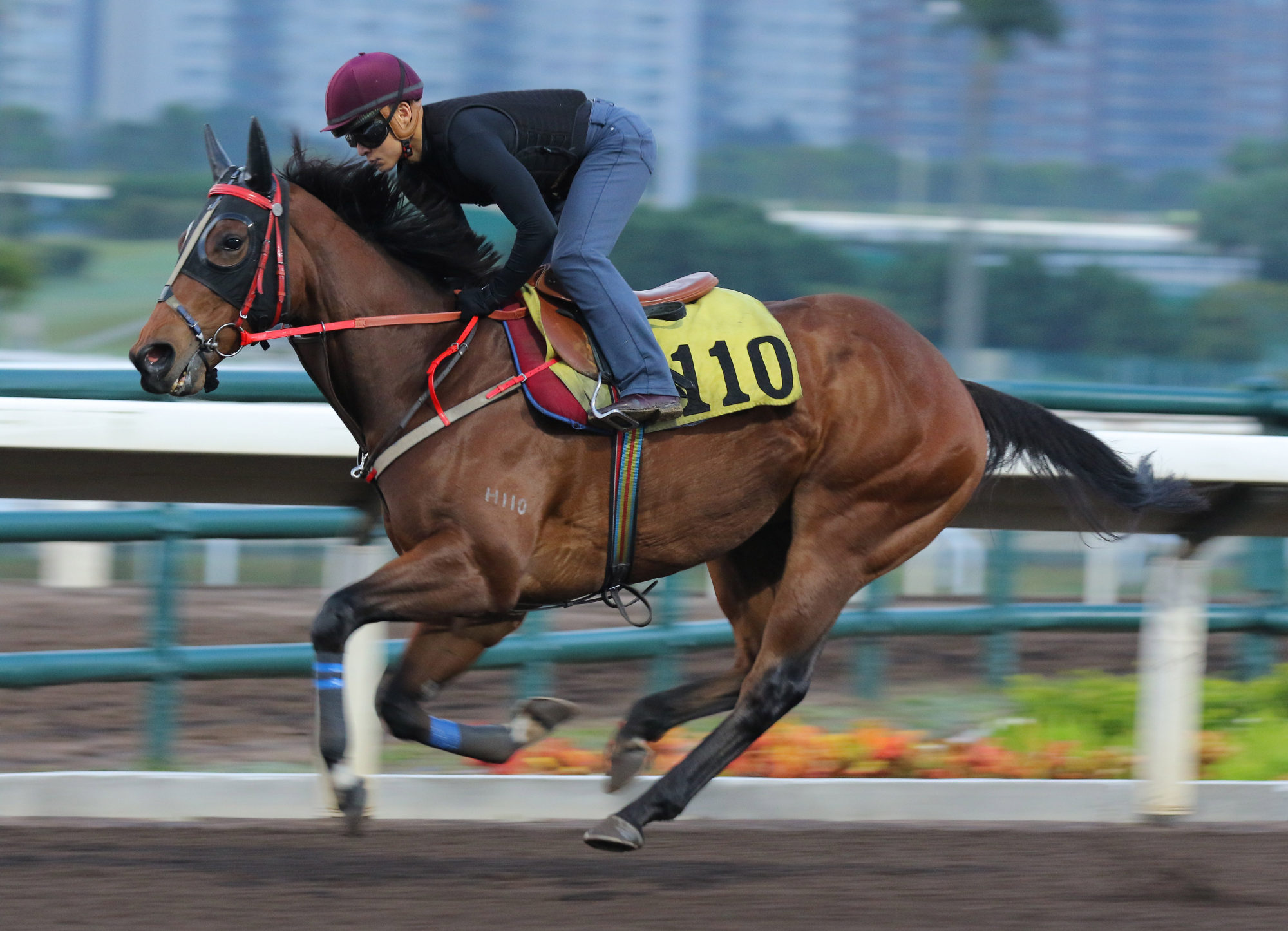 Find My Love gallops on the dirt under Keith Yeung.