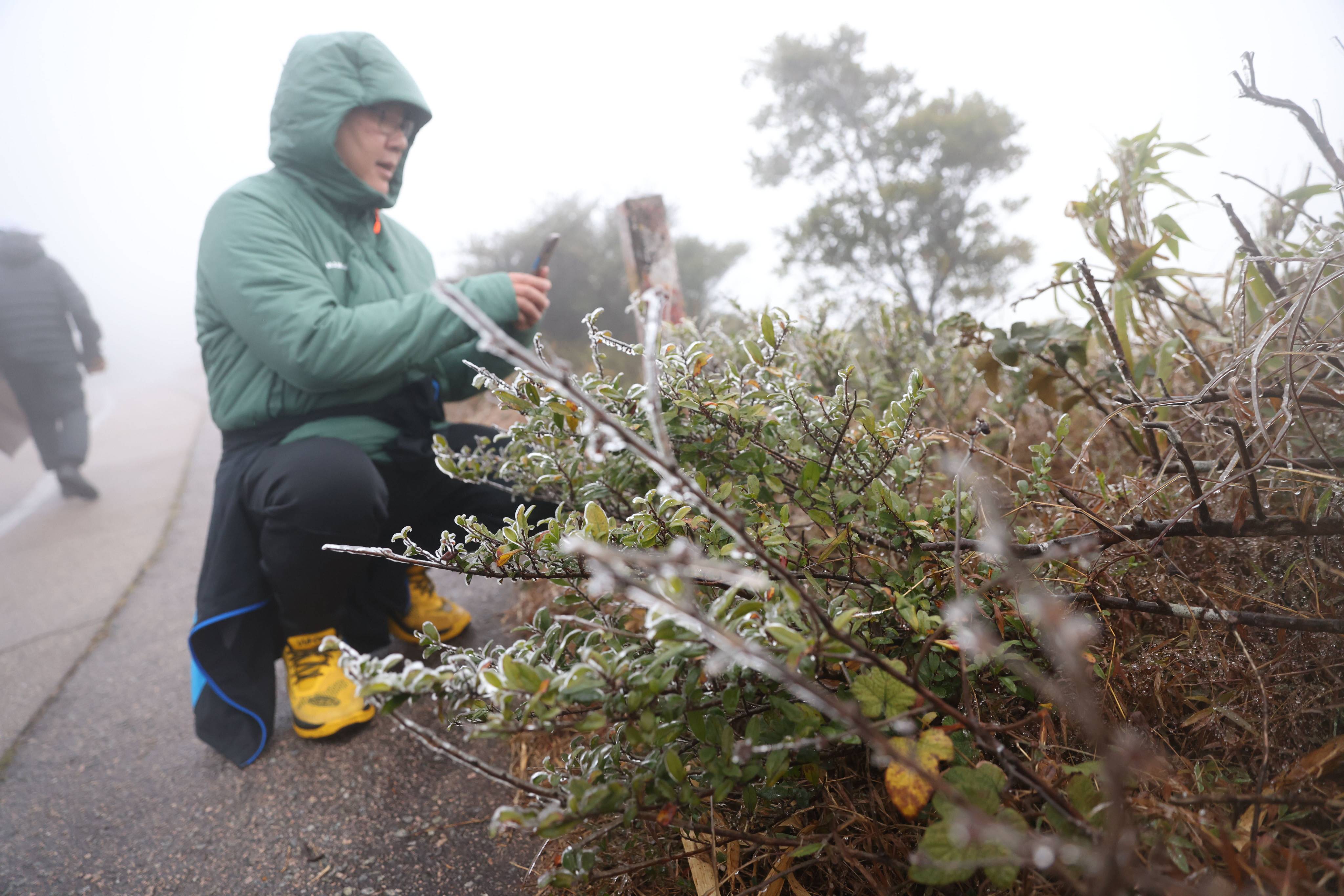 Frozen branches at Tai Mo Shan. Temperatures at the city’s highest peak dropped to a low of minus 2.4 degrees at around 6am. Photo: Yik Yeung-man