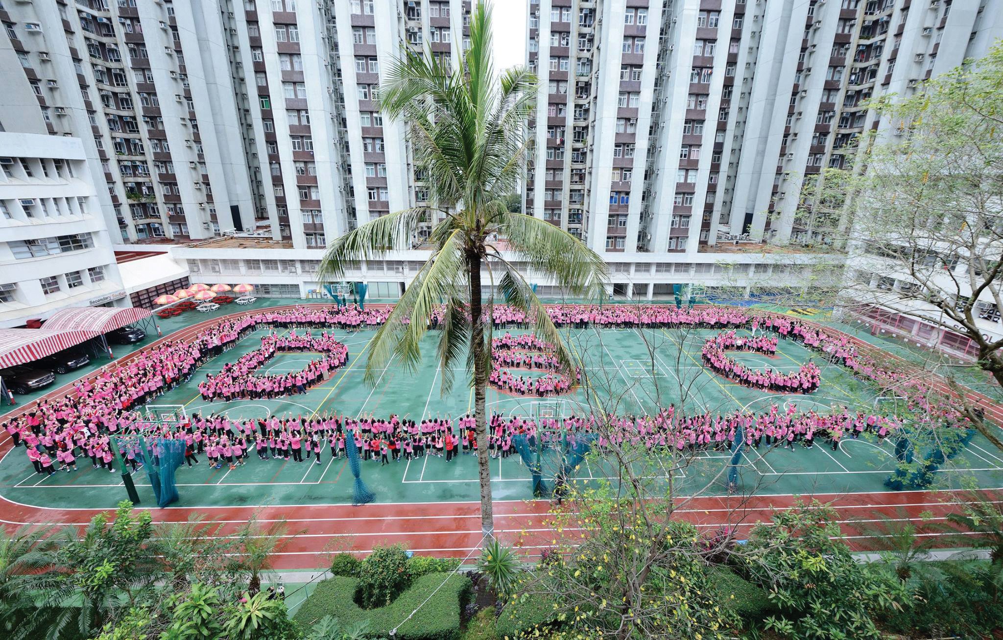 DSC International raised HK$139,000 for Operation Santa Claus this year. Photo: DSC International School
