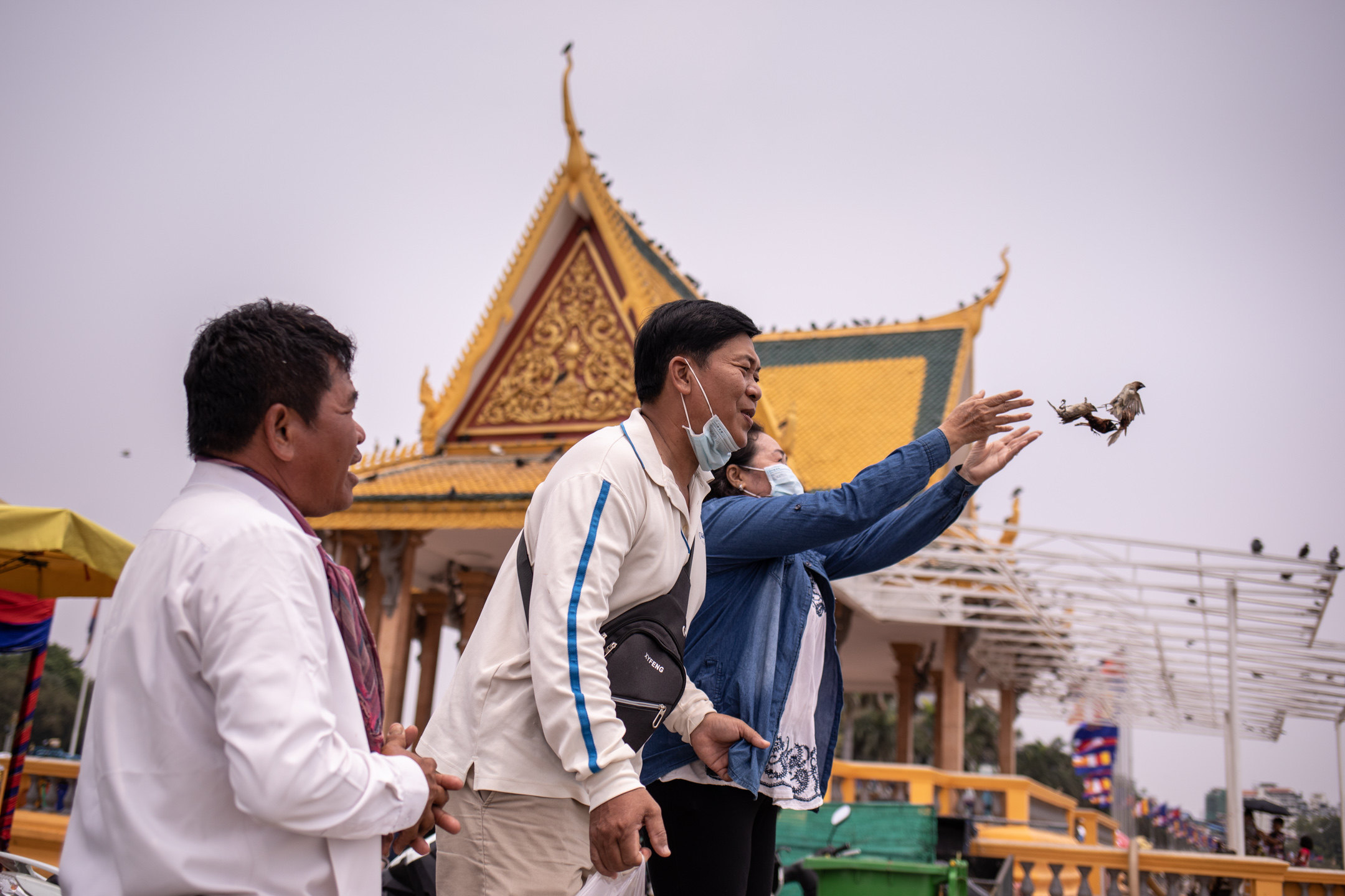 A couple release munias at a shrine in Phnom Penh. “Life release” rituals are common in Buddhist Cambodia, but the practice and the trade surrounding it kill millions of birds every year. Photo: Yann Bigant