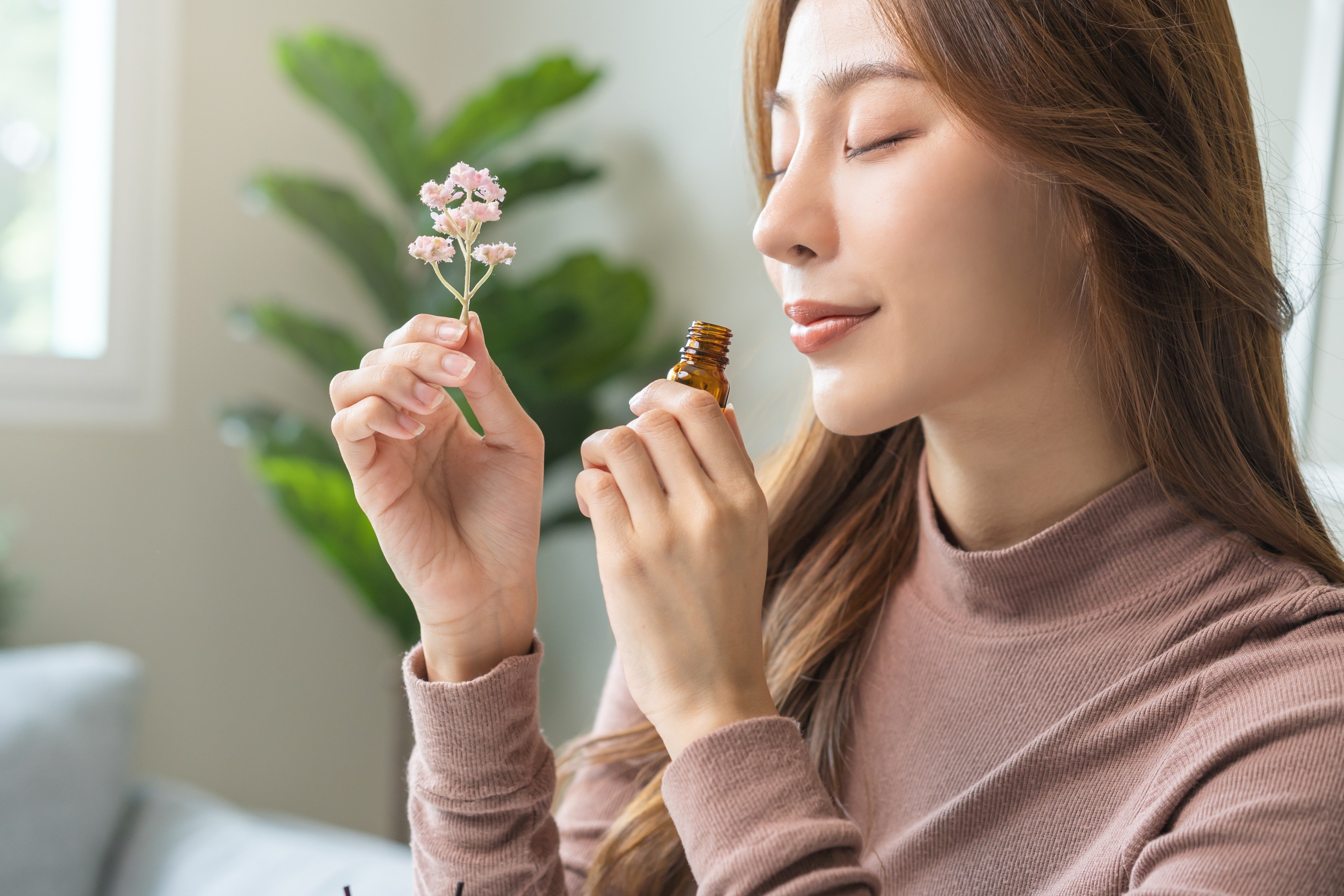Chinese people used incense and wore scented sachets until the first liquid perfume from Persia arrived, followed by the technology to make it, allowing perfumers to blend sophisticated scents using flower oils. Photo: Shutterstock