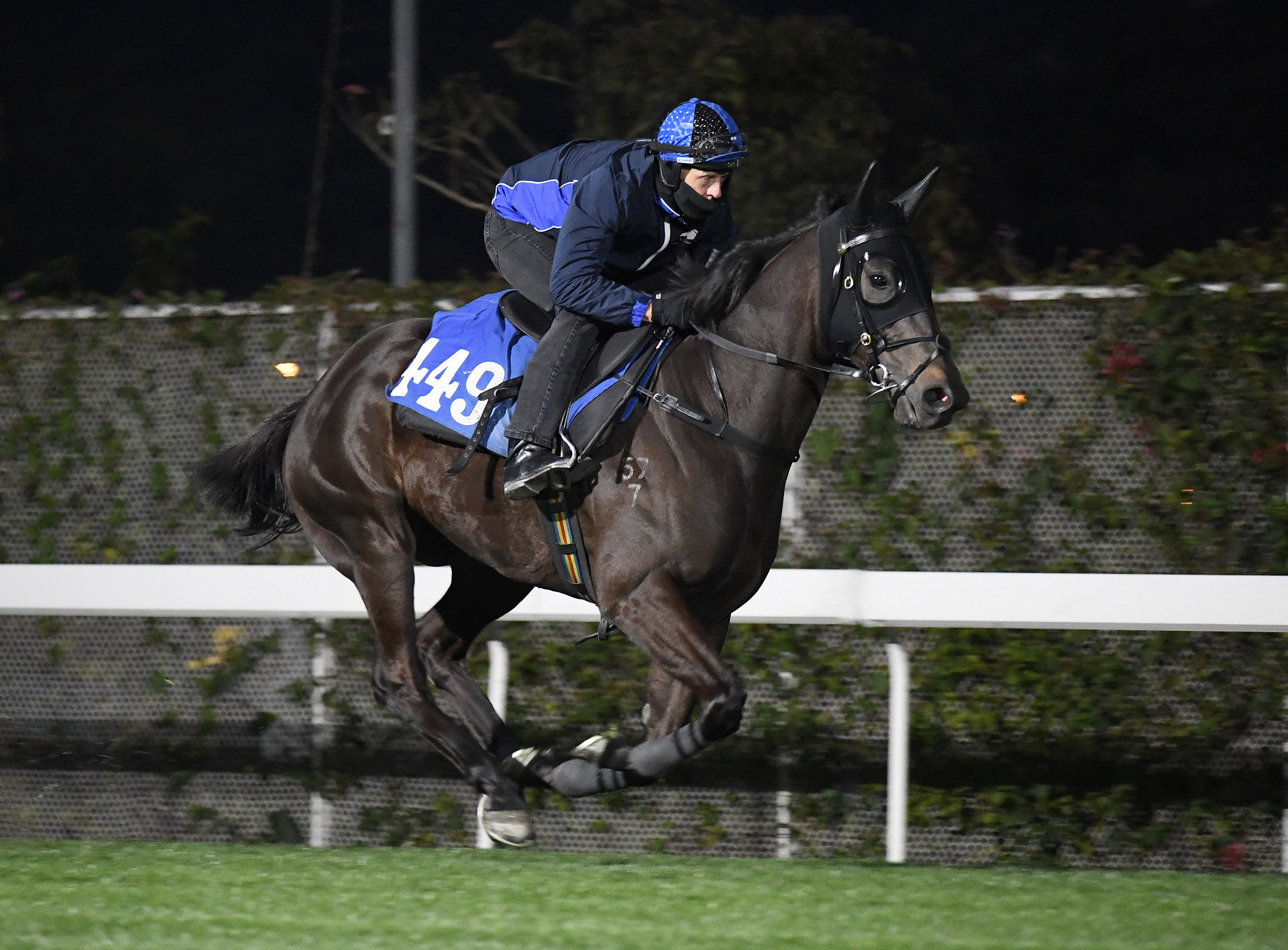 Trainer Mark Newnham partners Courier Wonder in a gallop on Thursday morning. Photos: Kenneth Chan