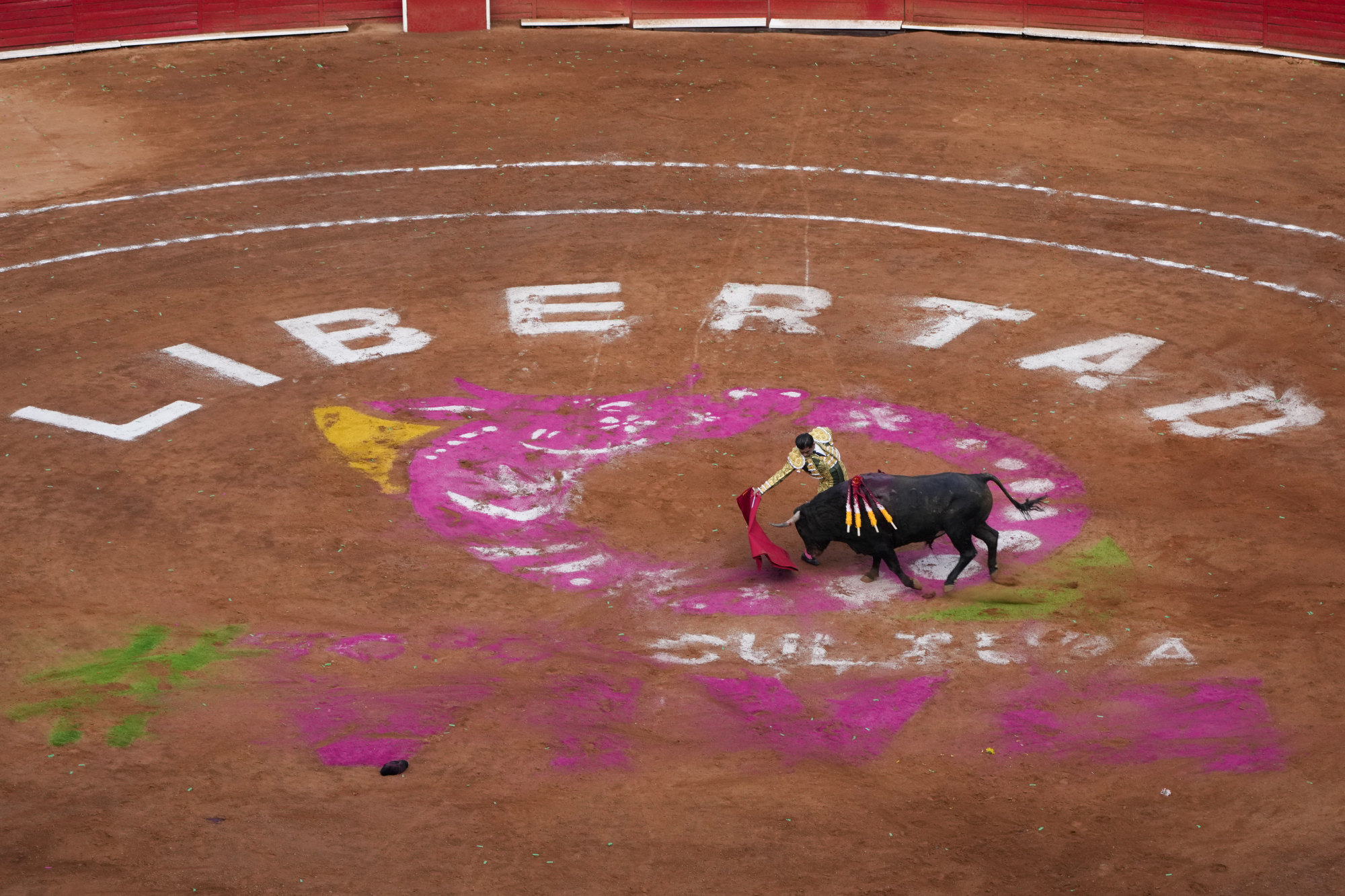 Bullfighting resumes in Mexico City before a full crowd while activists ...