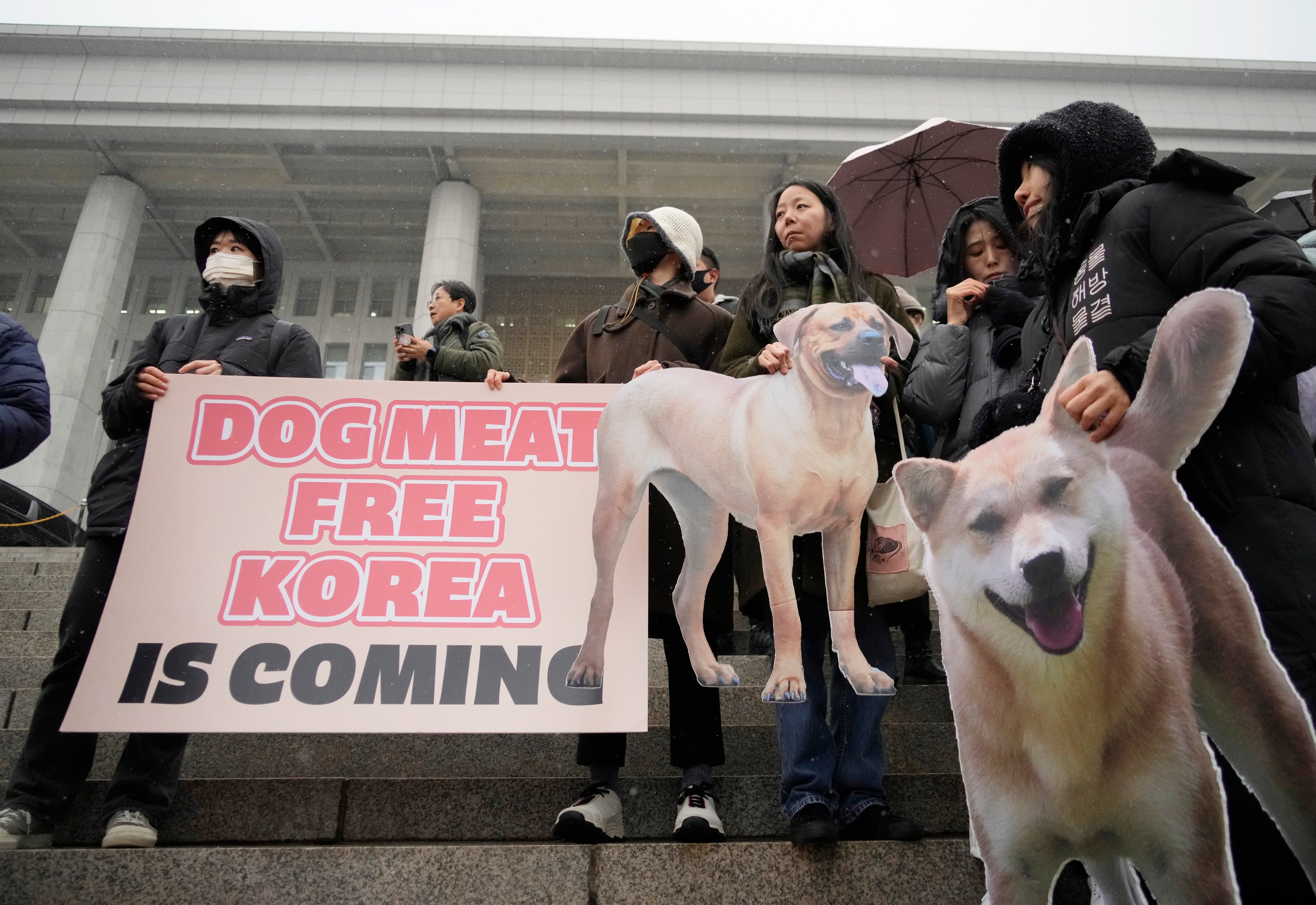 Animal rights activists attend a protest rally supporting the government-led dog meat banning bill at the National Assembly in Seoul earlier this month. Photo: AP