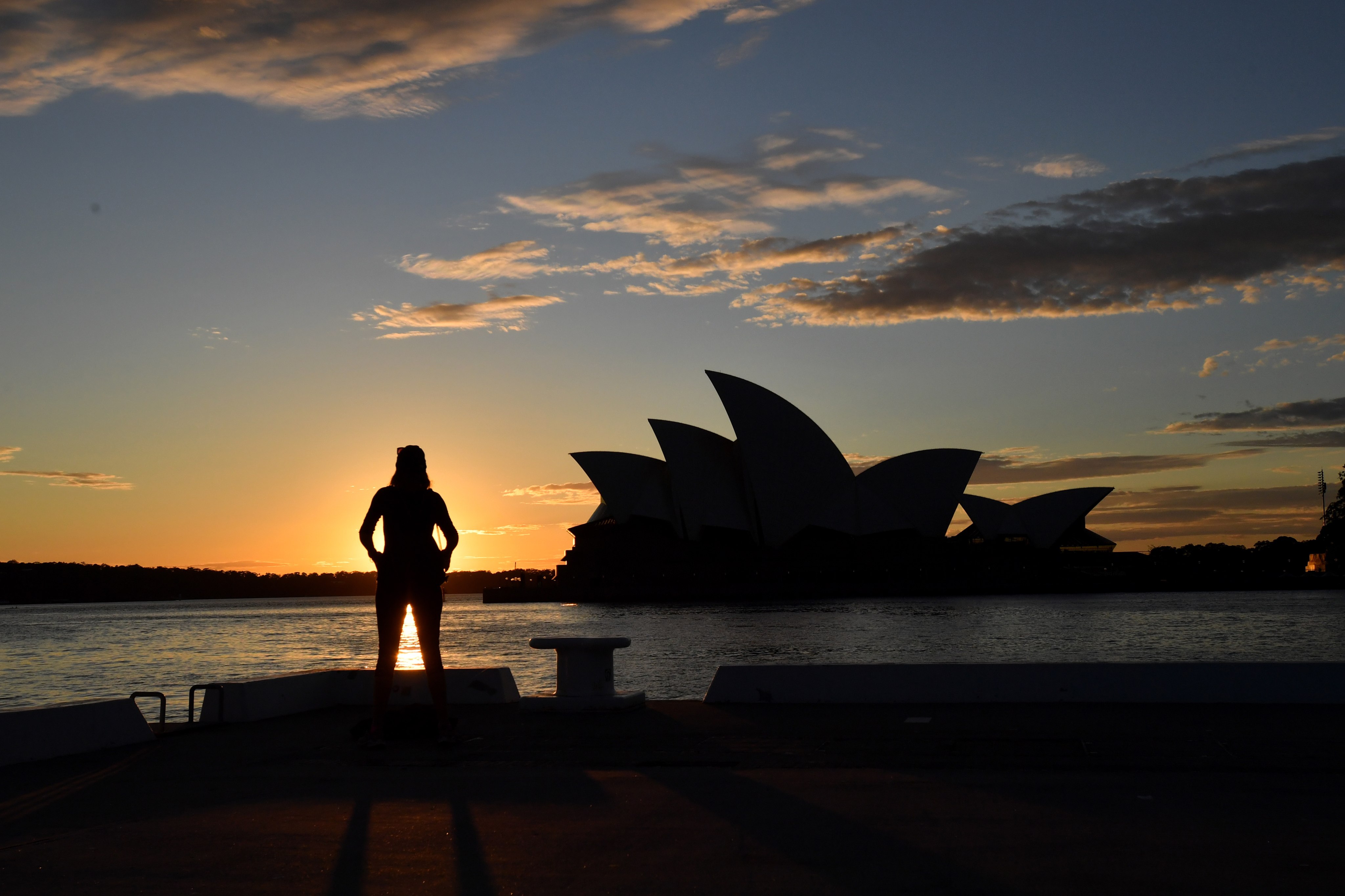 Scientists have tagged 87 large bull sharks in Sydney Harbour since 2009. The predators actively feed in low light at dawn and dusk, making it a more high-risk time to be swimming. Photo: EPA-EFE