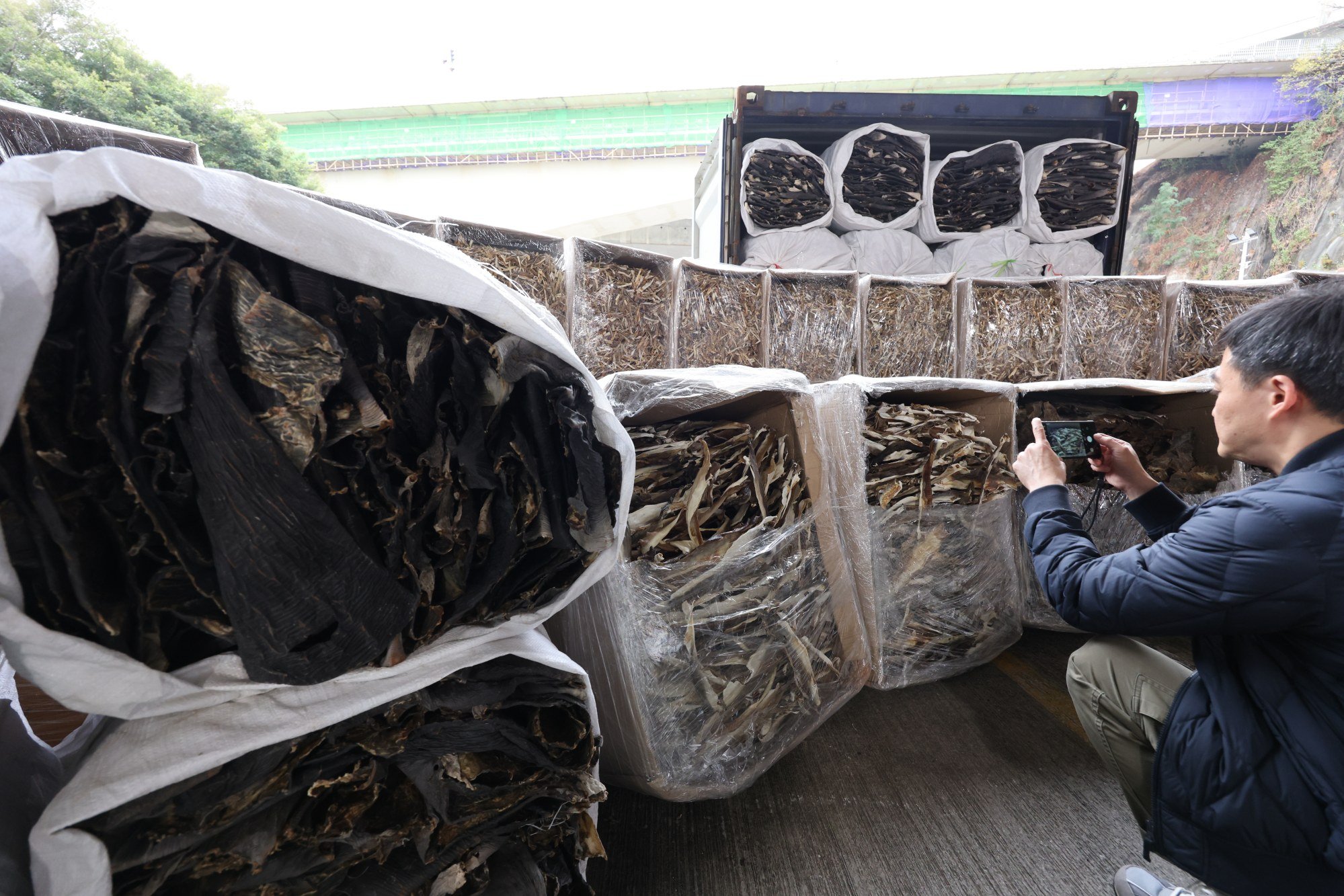 More than 170 nylon bags and boxes of dried shark skin were found in the container. Photo: Jelly Tse