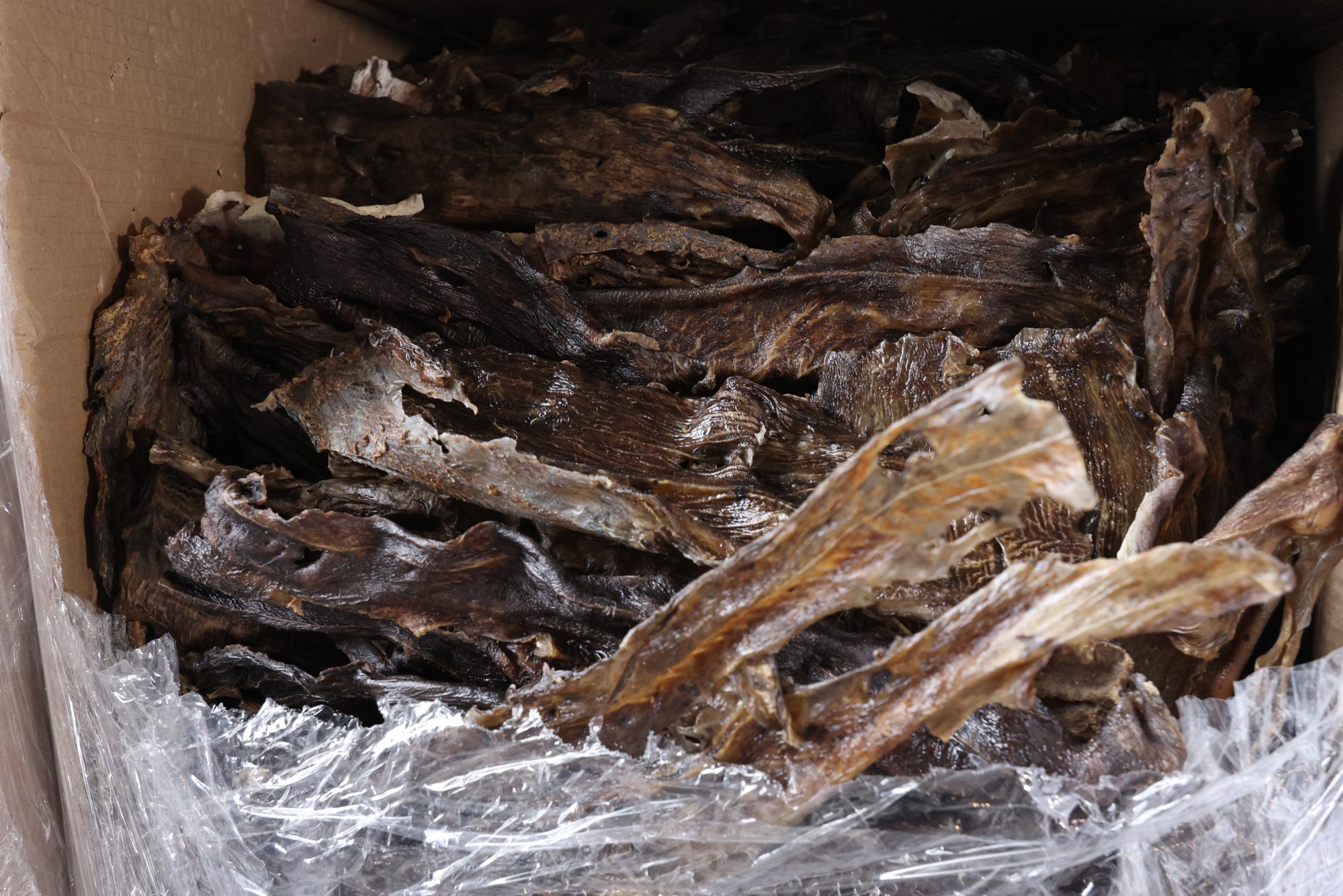 Customs says the dried shark skin haul is worth HK$1.7 million. Photo: Jelly Tse