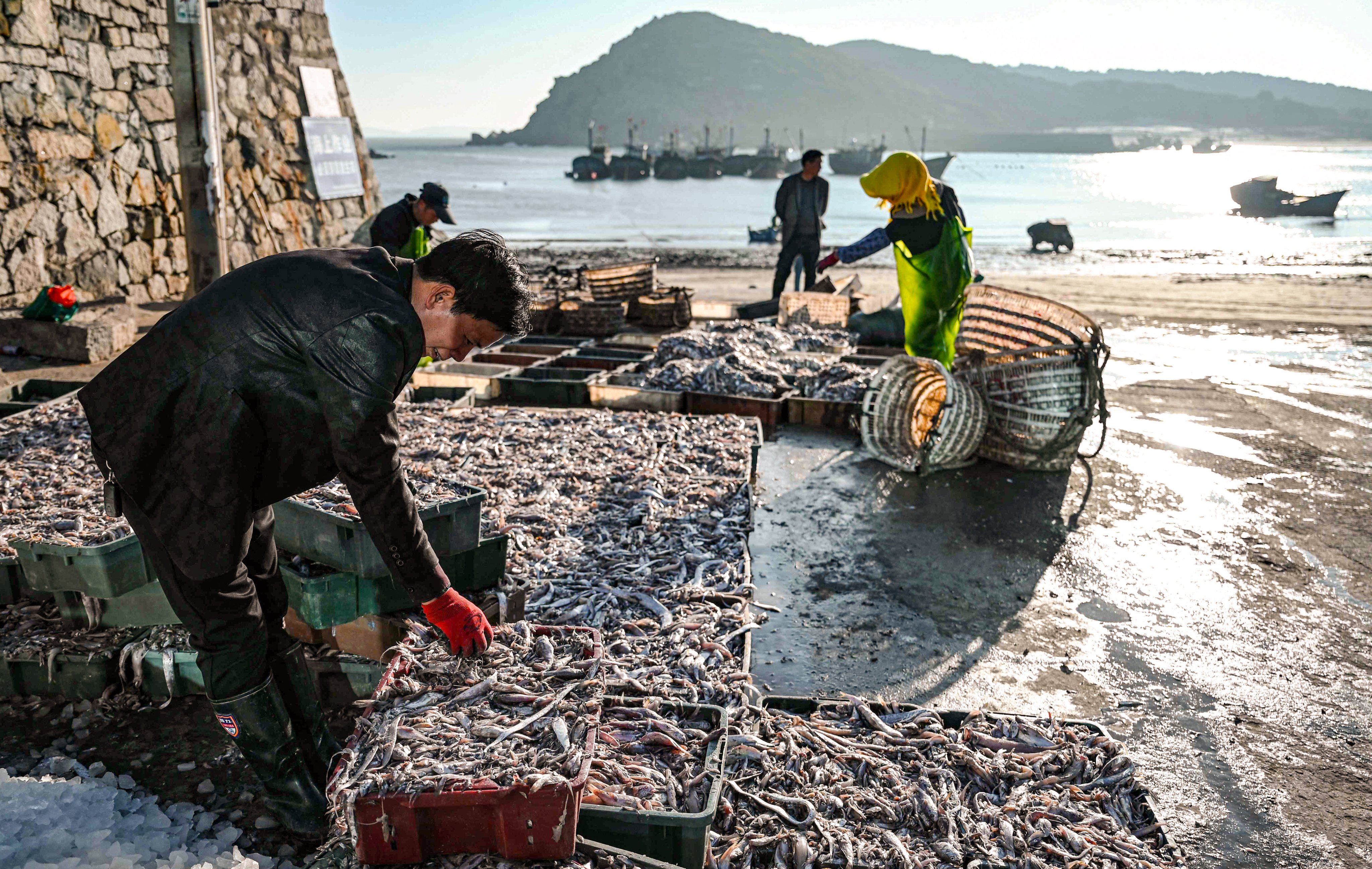China is the world’s largest seafood exporter, accounting for more than 60 per cent of global production. Photo: AFP