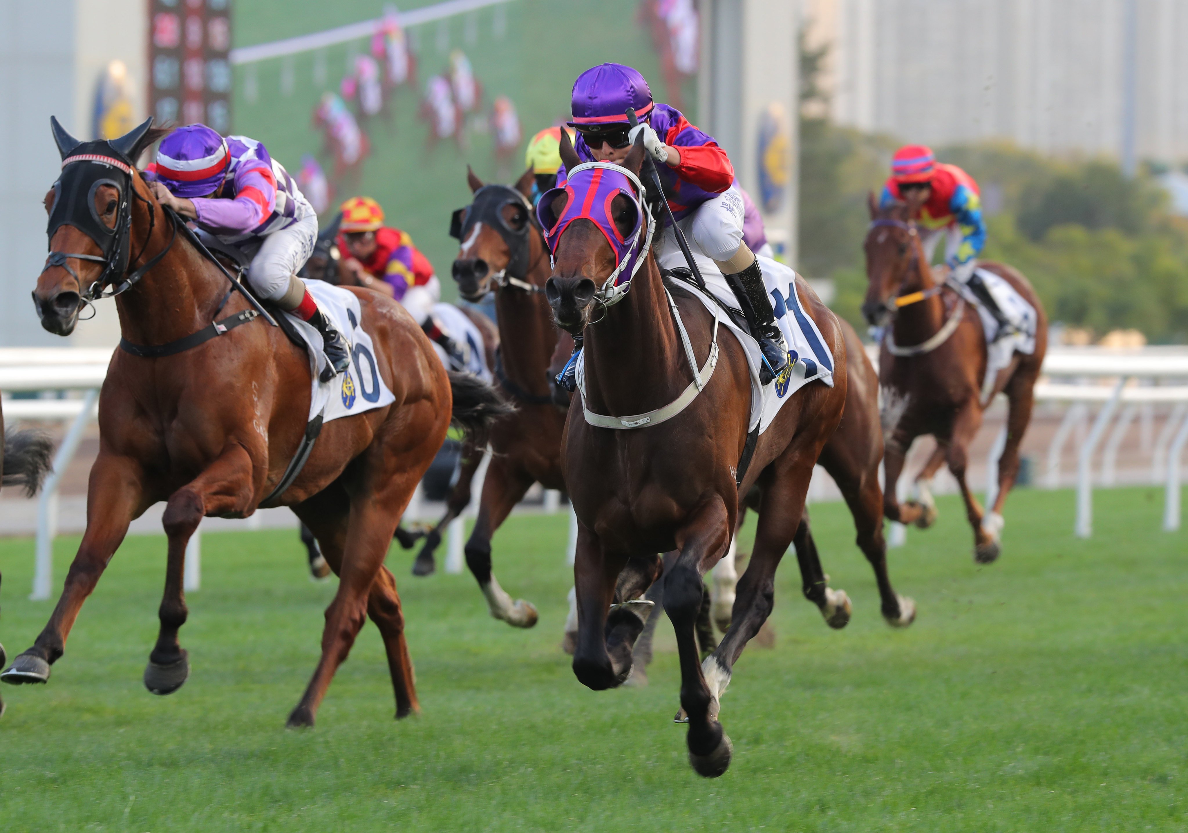 Fallon salutes under Keith Yeung at Sha Tin last month. Photo: Kenneth Chan