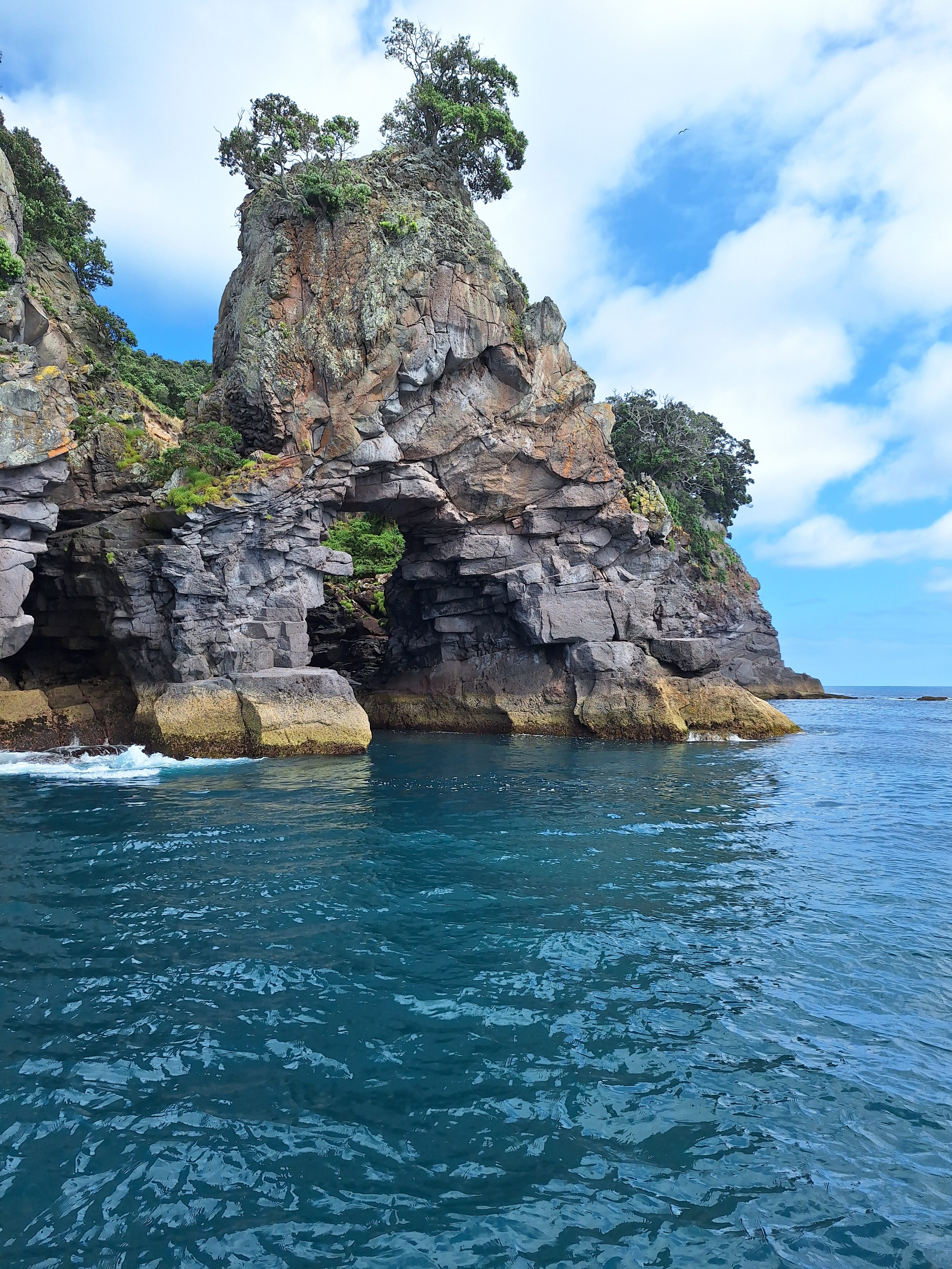 Sea caves on Moutohora Island, Bay of Plenty, New Zealand. Photo: Ed Peters