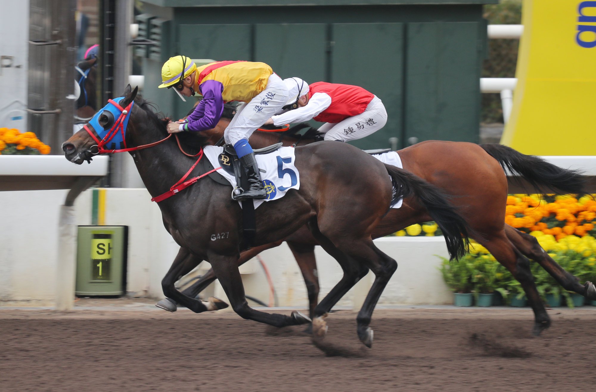 Spangle Fortune takes out the opening race at Sha Tin on Sunday.