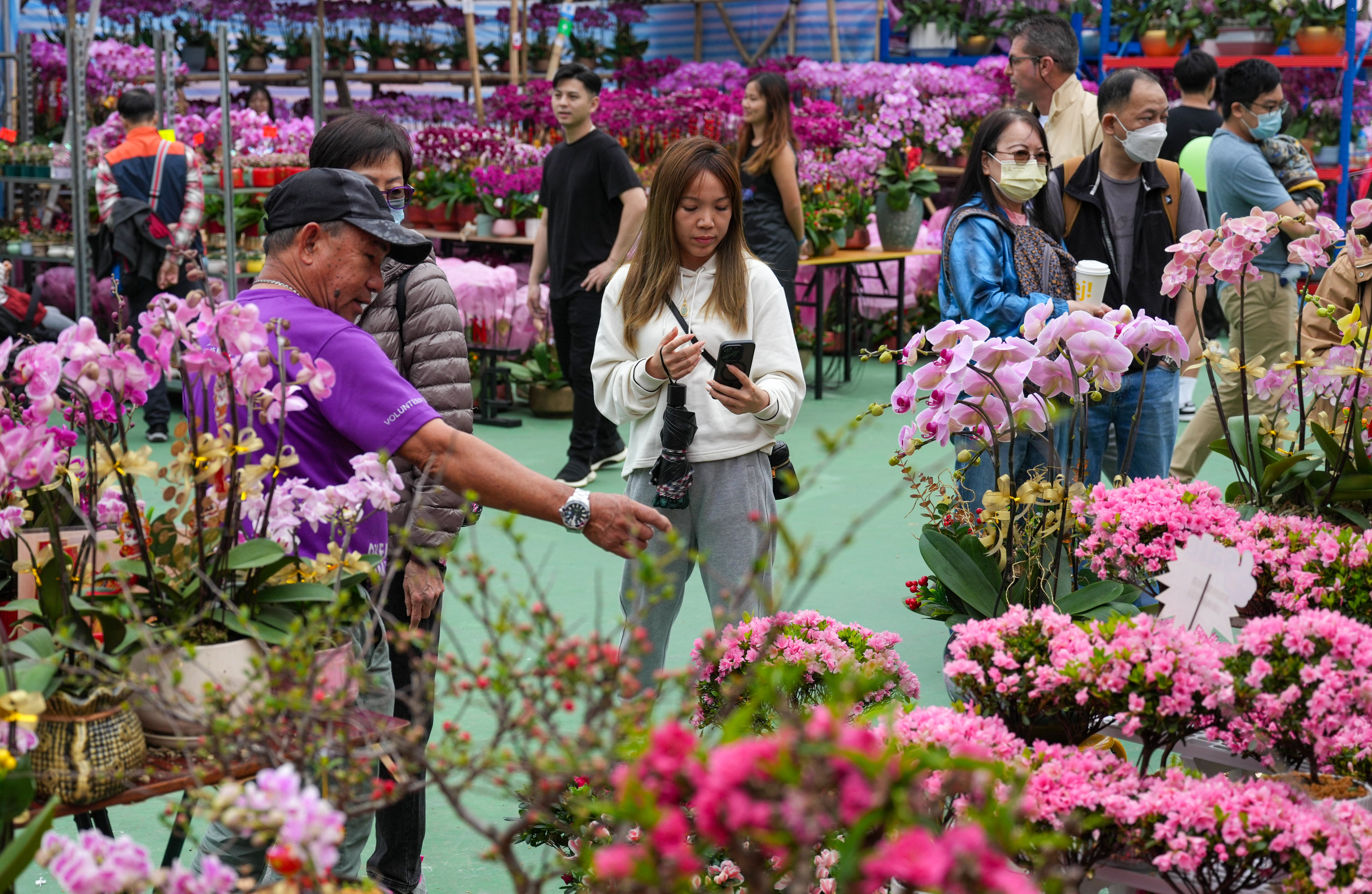 Shoppers at the Lunar New Year fair in Victoria Park browse the flowers on sale. Photo: Eugene Lee