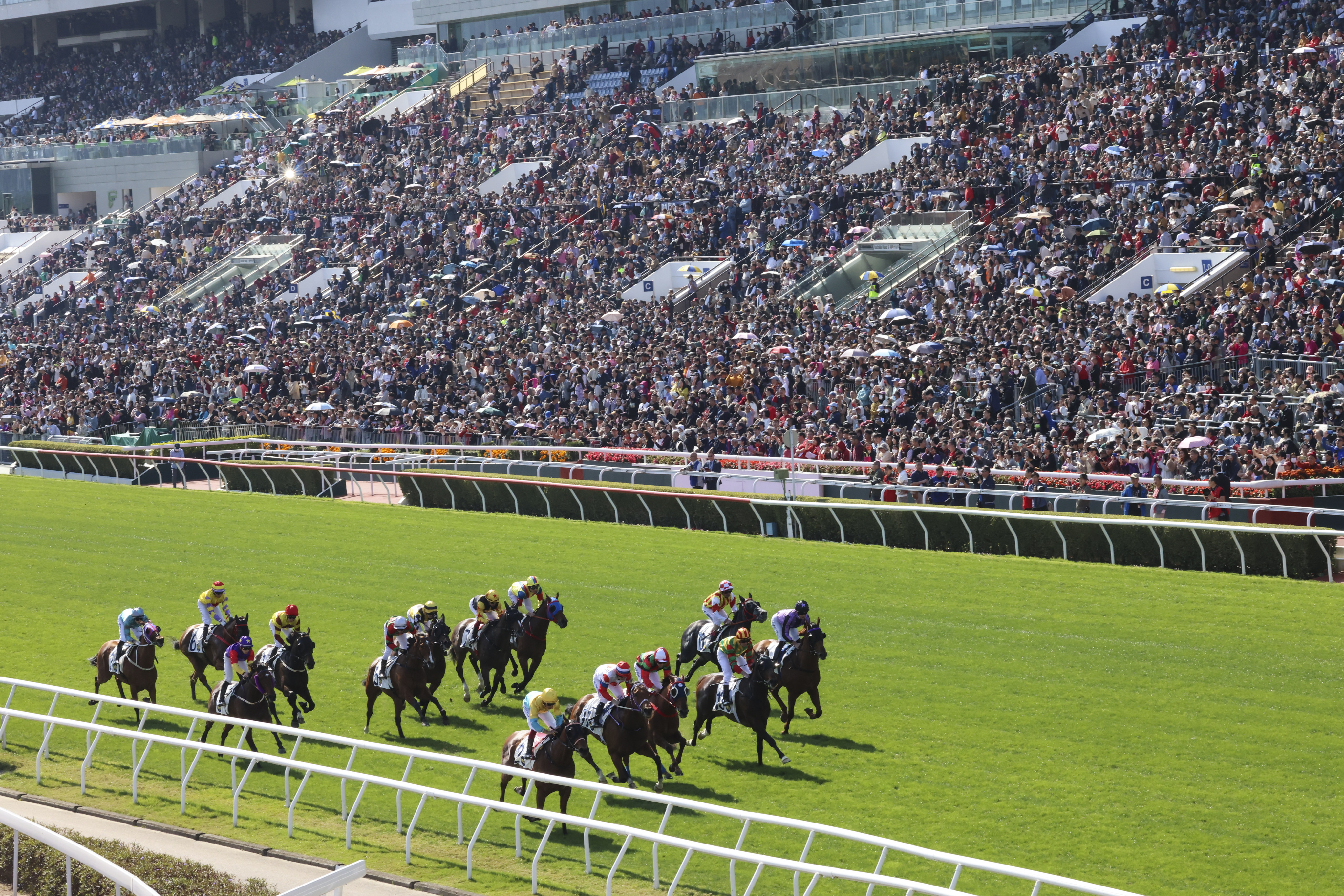 The field thunders for home at a heaving Sha Tin on Monday. Photo: Dickson Lee