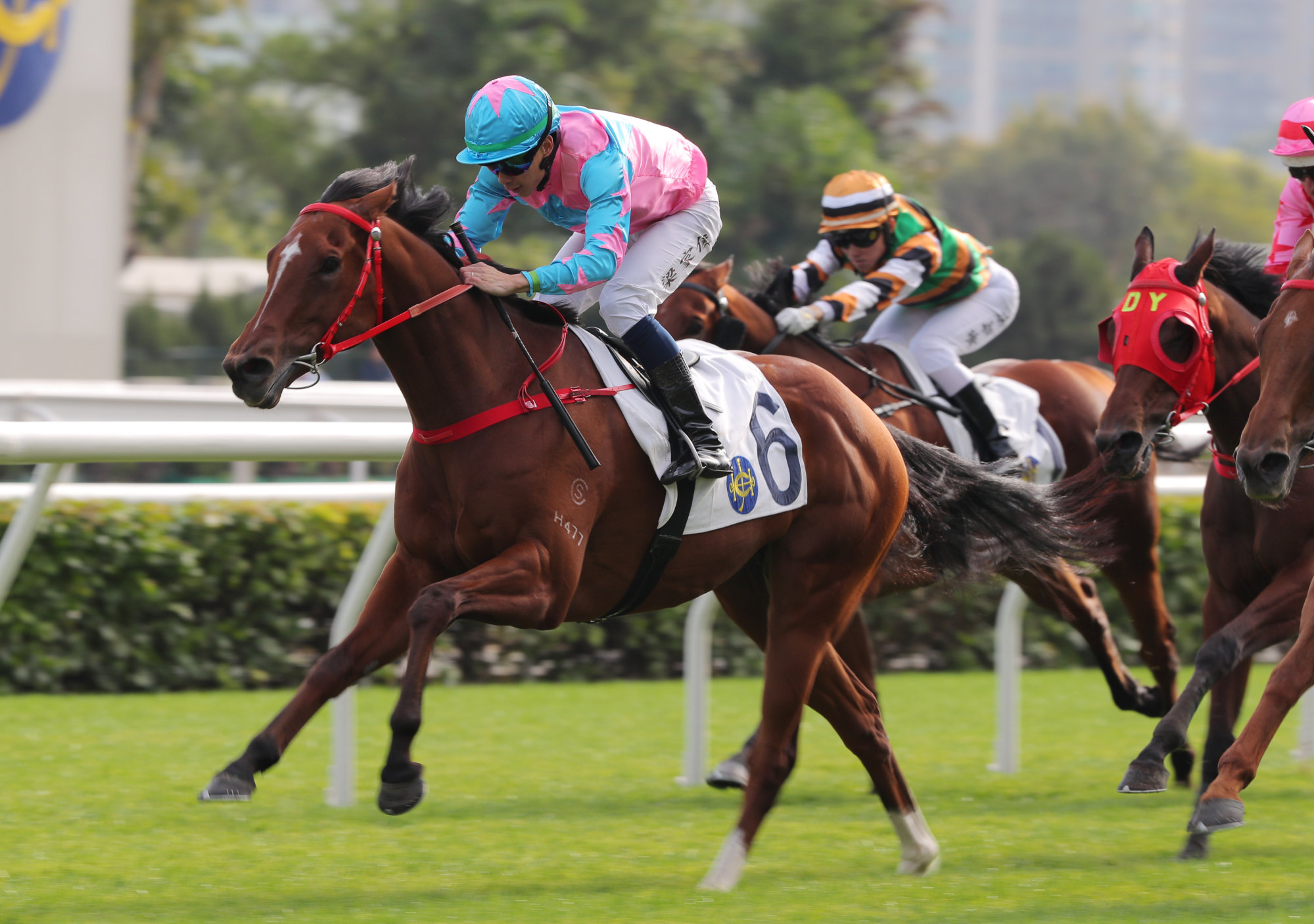 Super Goldi salutes at Sha Tin in December.